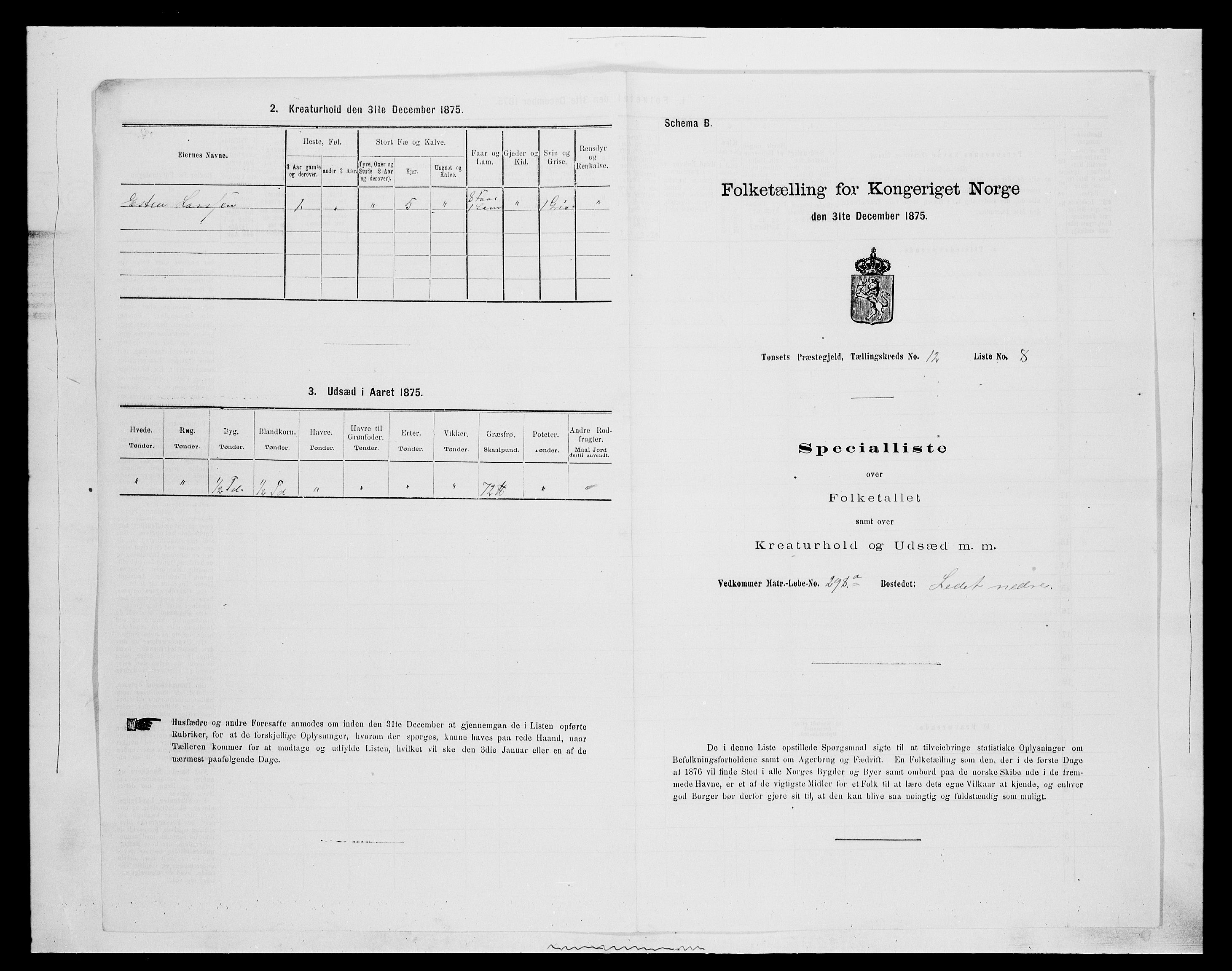 SAH, 1875 census for 0437P Tynset, 1875, p. 1066