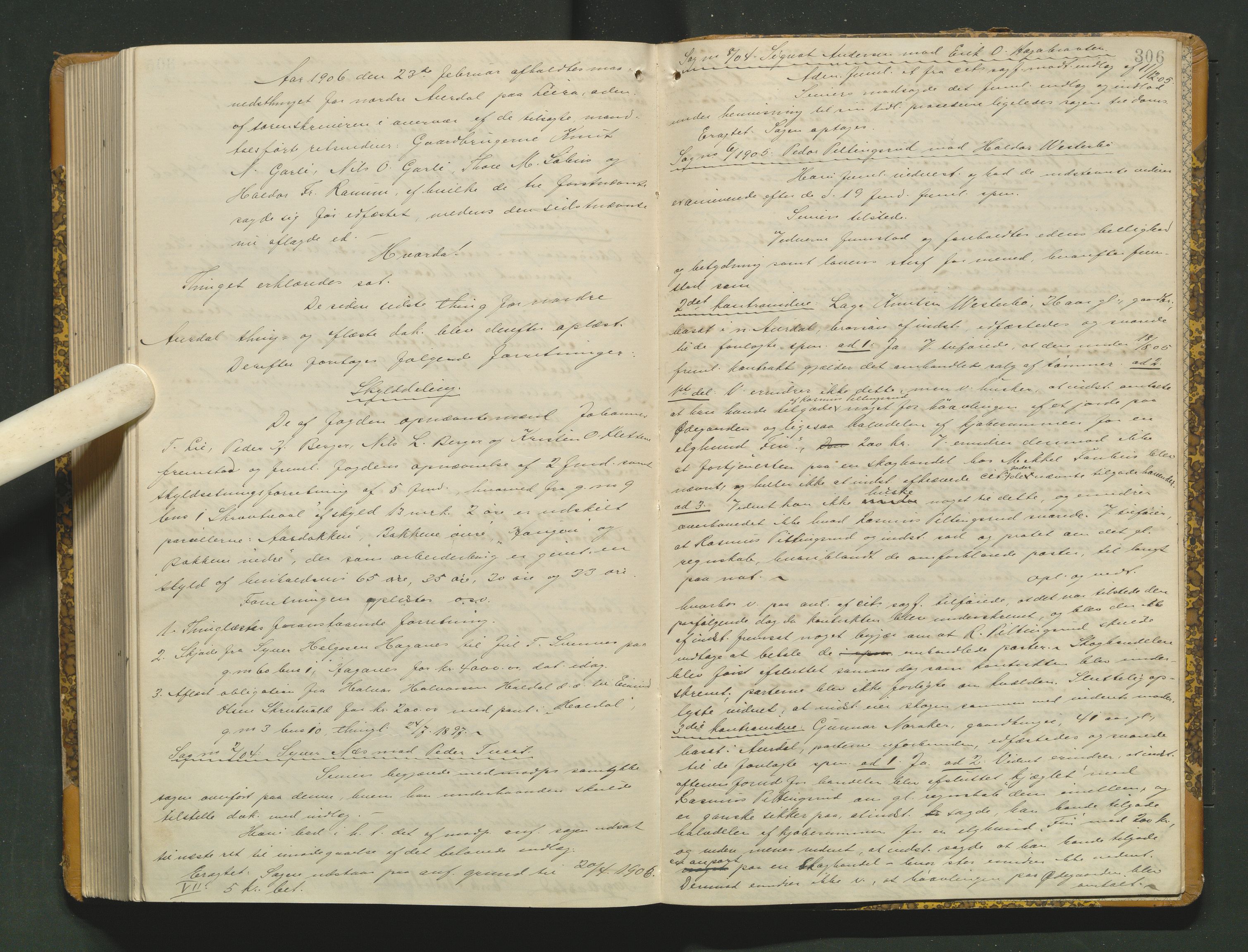 Valdres sorenskriveri, AV/SAH-TING-016/G/Gb/L0027: Tingbok, 1904-1906, p. 305b-306a