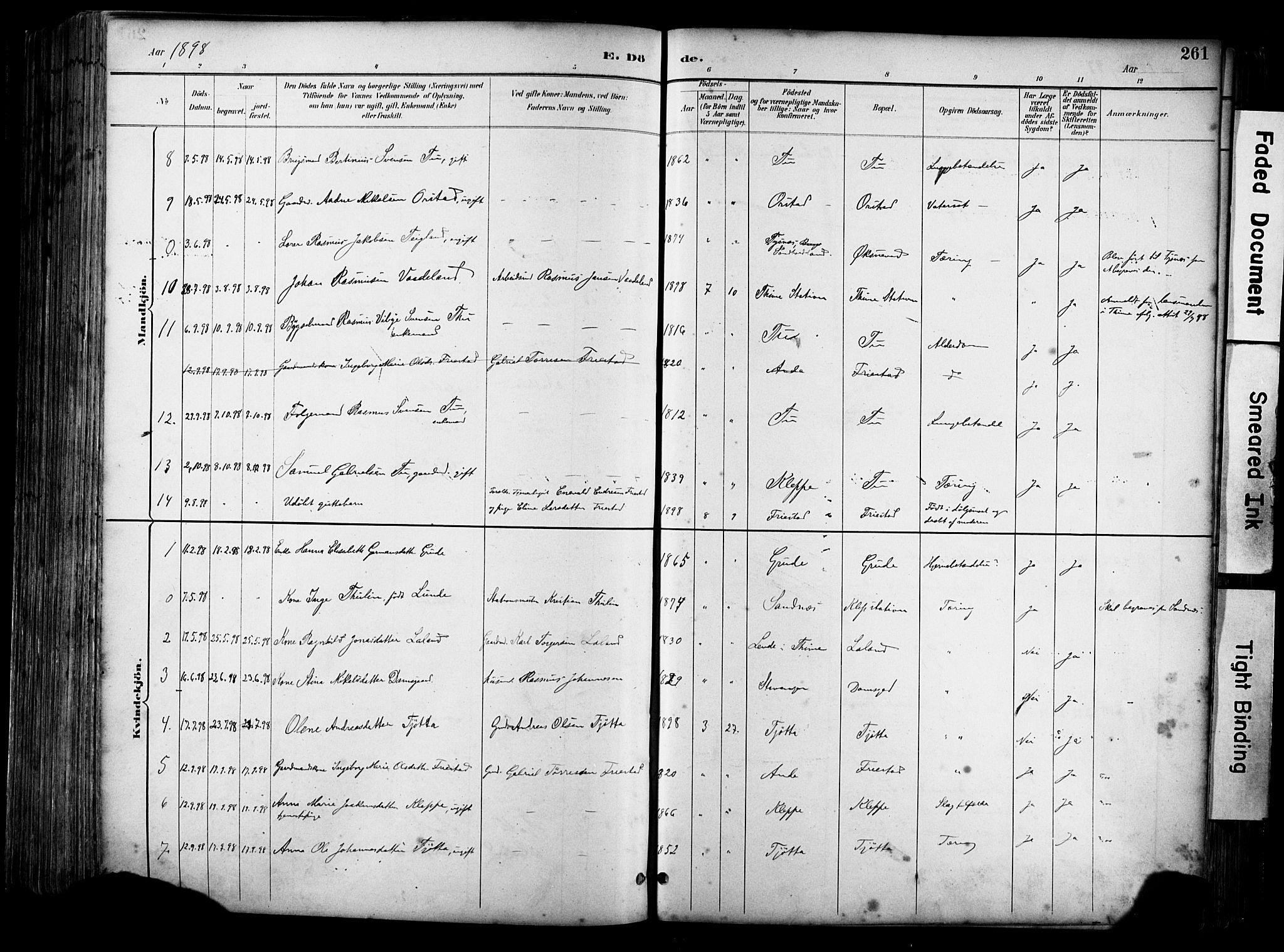 Klepp sokneprestkontor, SAST/A-101803/001/3/30BA/L0009: Parish register (official) no. A 7, 1886-1915, p. 261