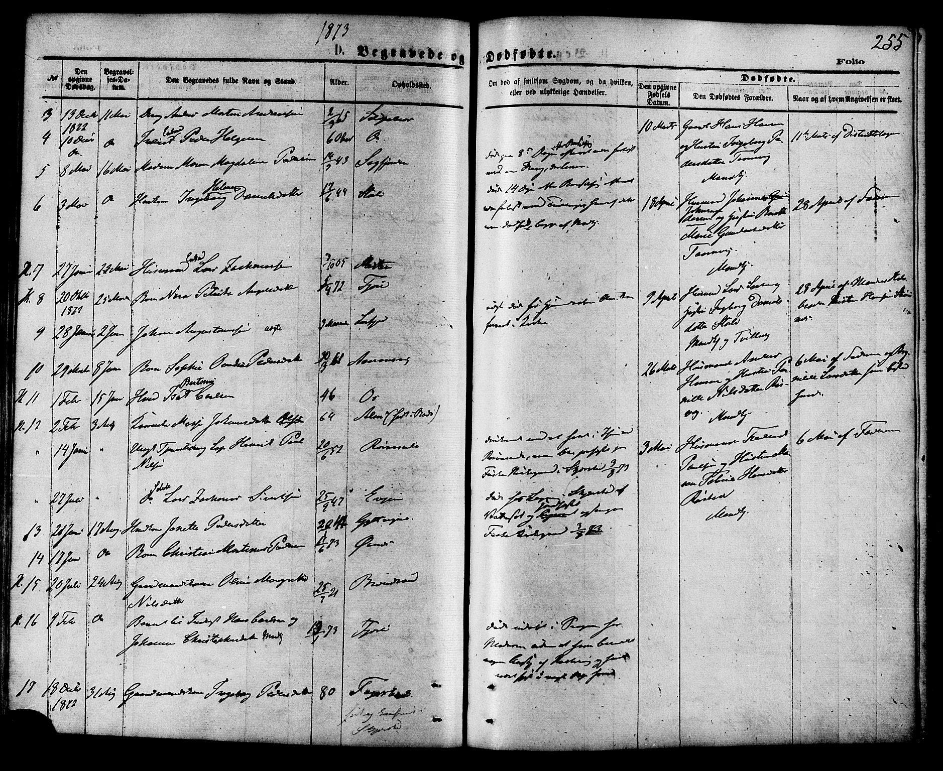 Ministerialprotokoller, klokkerbøker og fødselsregistre - Nordland, SAT/A-1459/853/L0771: Parish register (official) no. 853A10, 1870-1881, p. 255