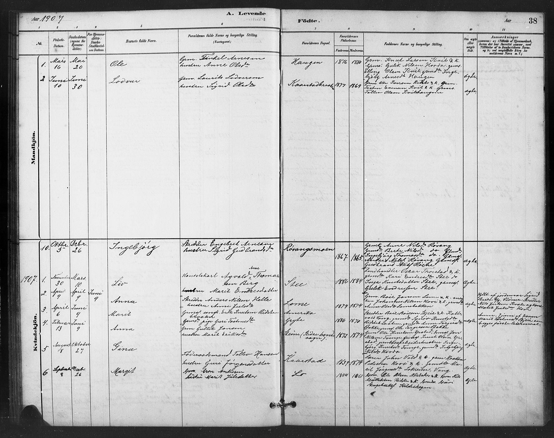 Vestre Slidre prestekontor, SAH/PREST-136/H/Ha/Hab/L0006: Parish register (copy) no. 6, 1881-1915, p. 38