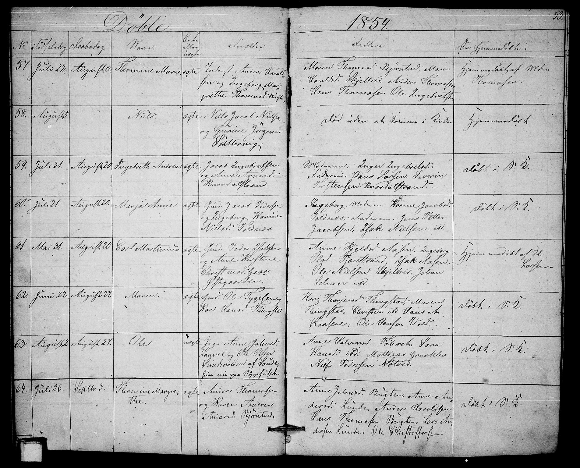 Solum kirkebøker, AV/SAKO-A-306/G/Ga/L0003: Parish register (copy) no. I 3, 1848-1859, p. 53