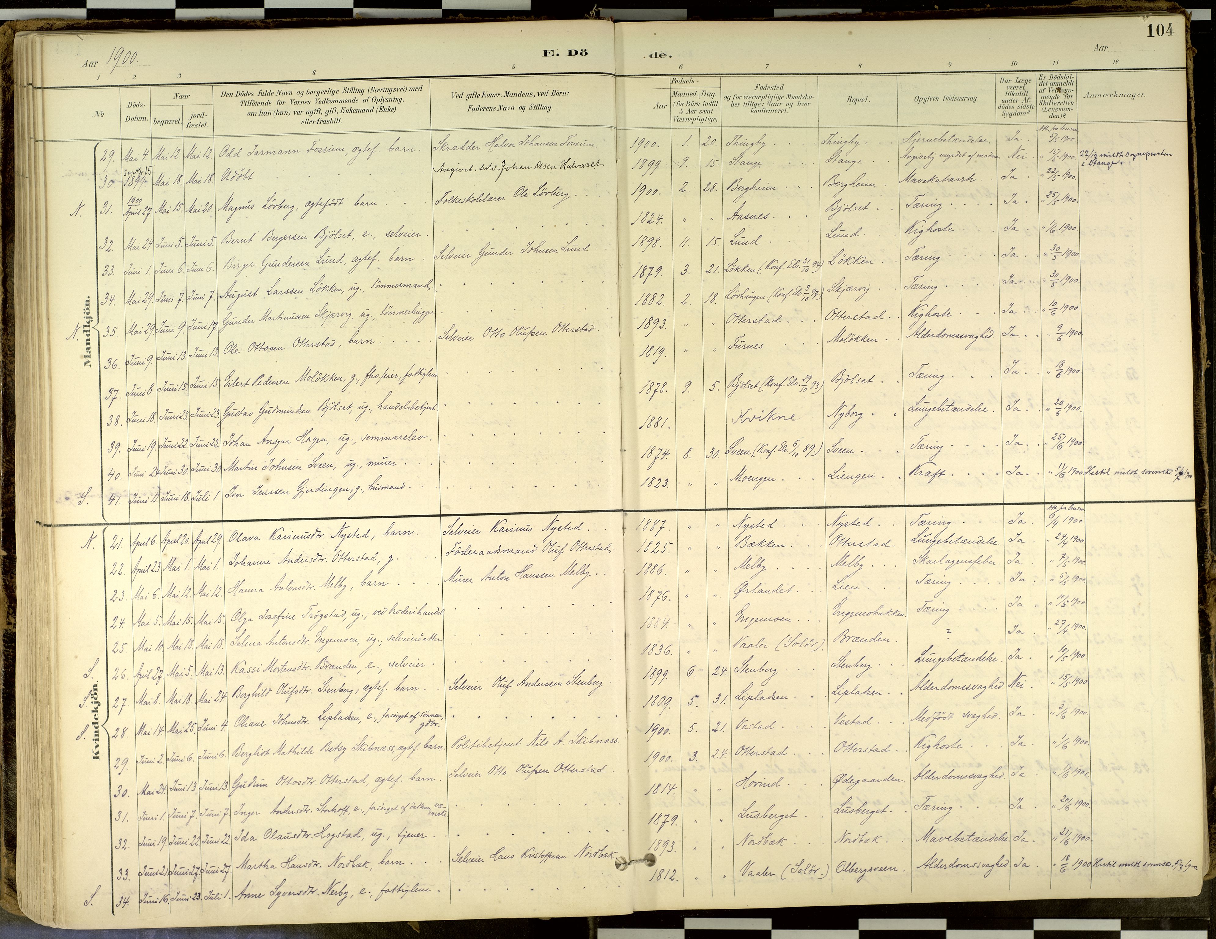 Elverum prestekontor, SAH/PREST-044/H/Ha/Haa/L0018: Parish register (official) no. 18, 1894-1914, p. 104
