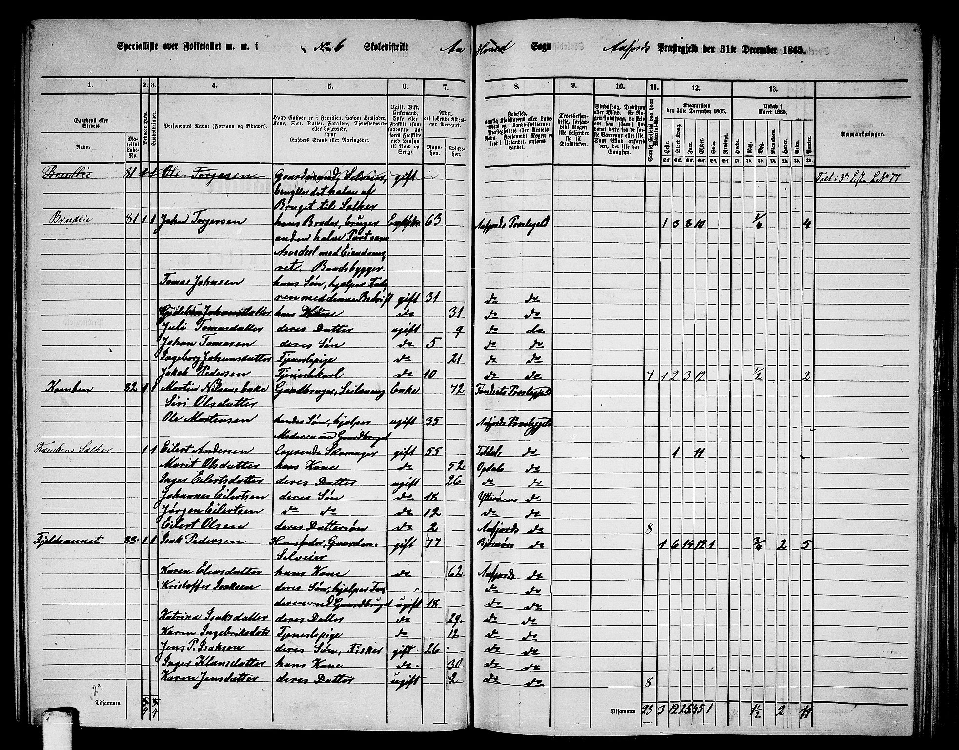 RA, 1865 census for Aafjorden, 1865, p. 74