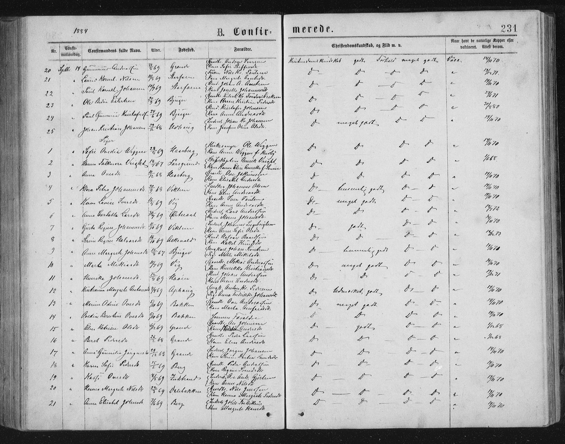 Ministerialprotokoller, klokkerbøker og fødselsregistre - Sør-Trøndelag, AV/SAT-A-1456/659/L0745: Parish register (copy) no. 659C02, 1869-1892, p. 231