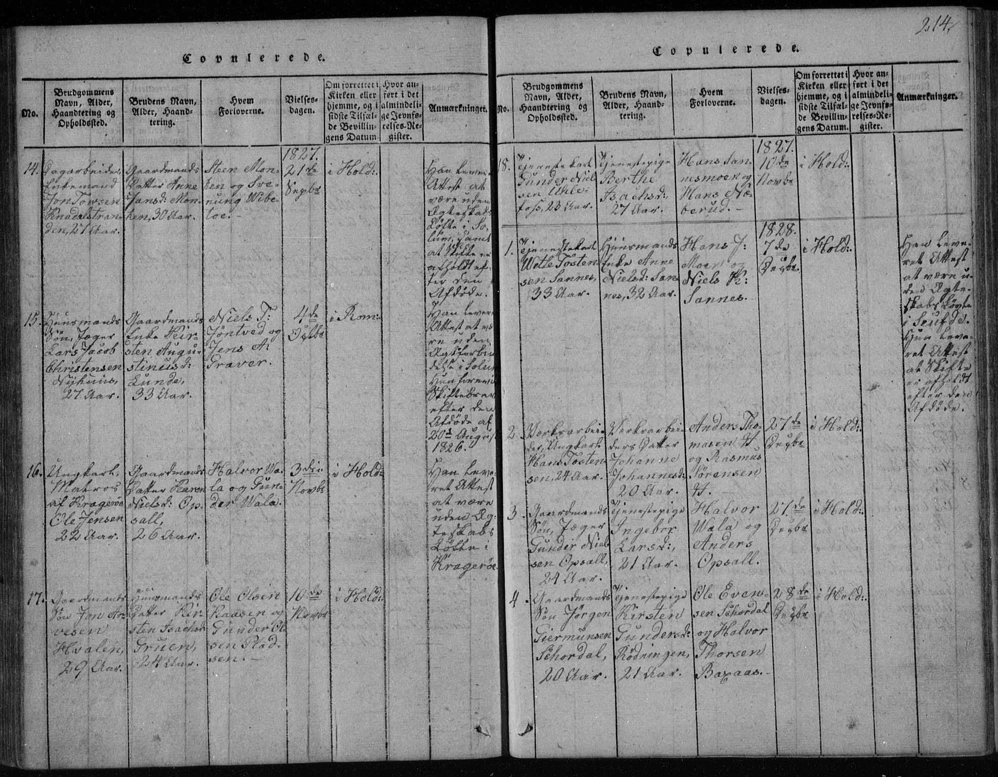 Holla kirkebøker, AV/SAKO-A-272/F/Fa/L0003: Parish register (official) no. 3, 1815-1830, p. 214