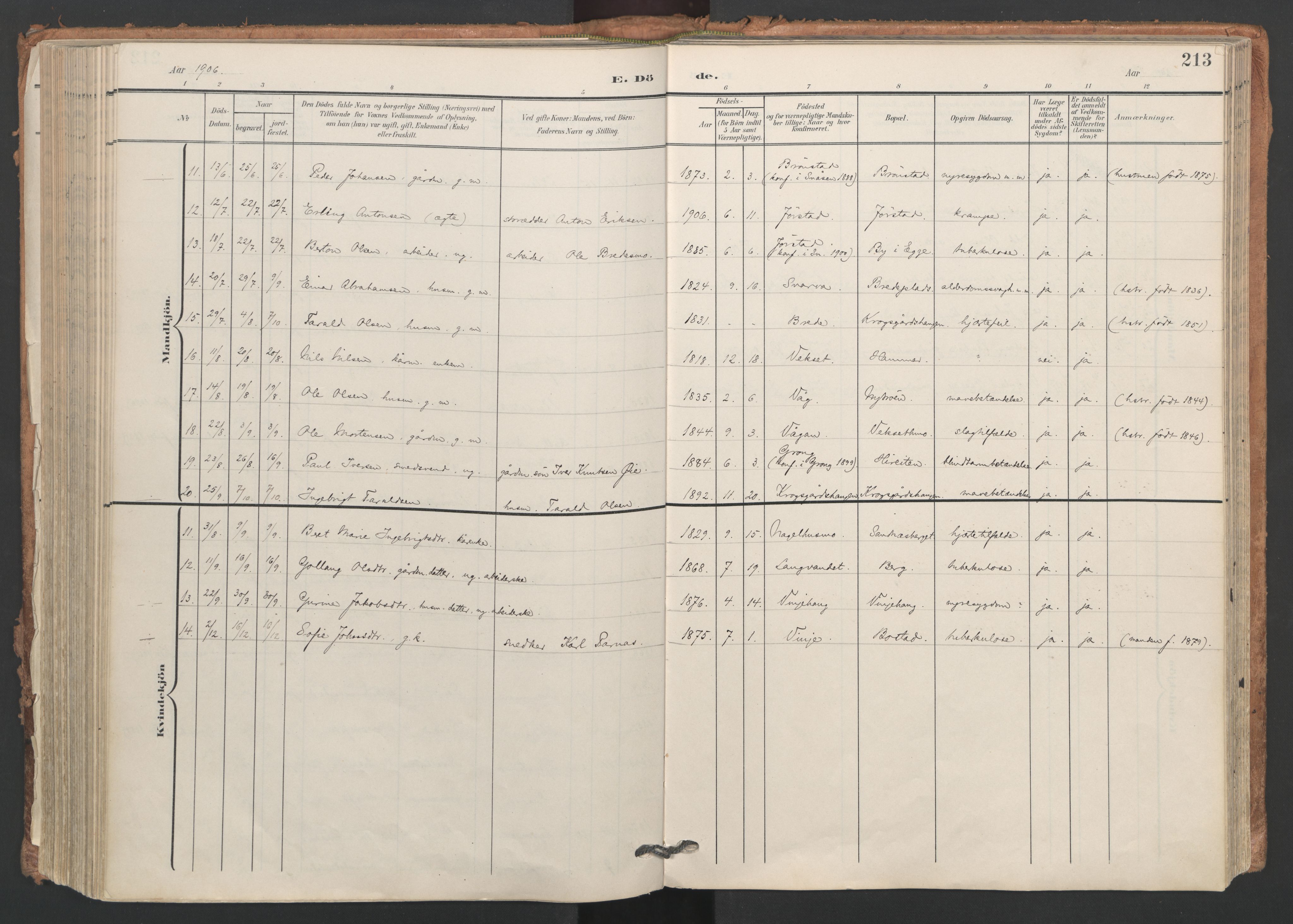 Ministerialprotokoller, klokkerbøker og fødselsregistre - Nord-Trøndelag, AV/SAT-A-1458/749/L0477: Parish register (official) no. 749A11, 1902-1927, p. 213