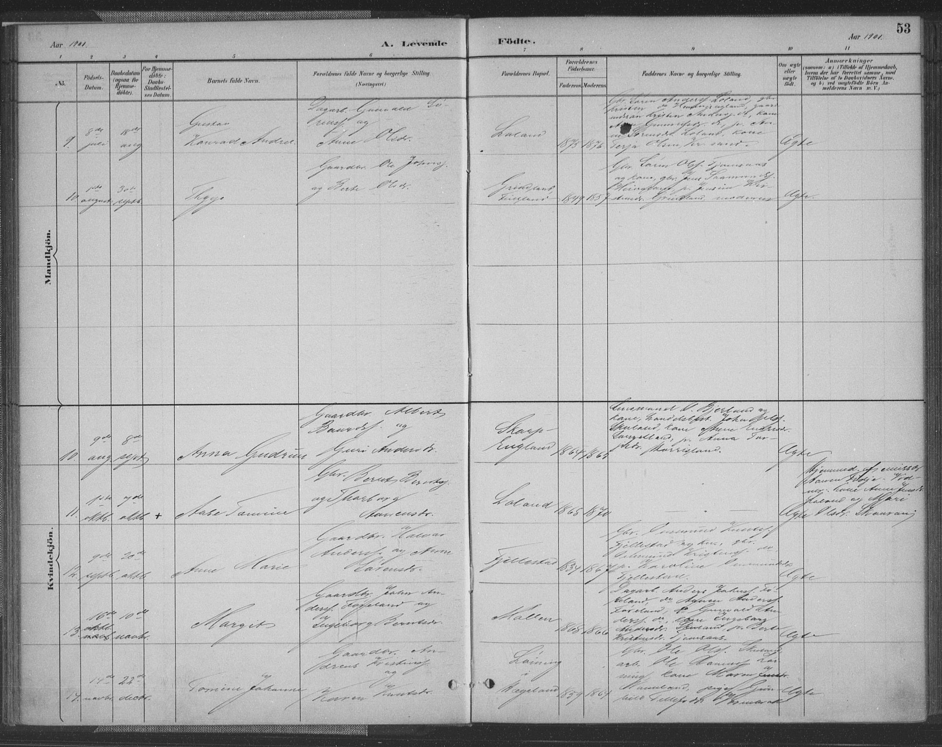 Vennesla sokneprestkontor, AV/SAK-1111-0045/Fa/Fac/L0009: Parish register (official) no. A 9, 1884-1901, p. 53