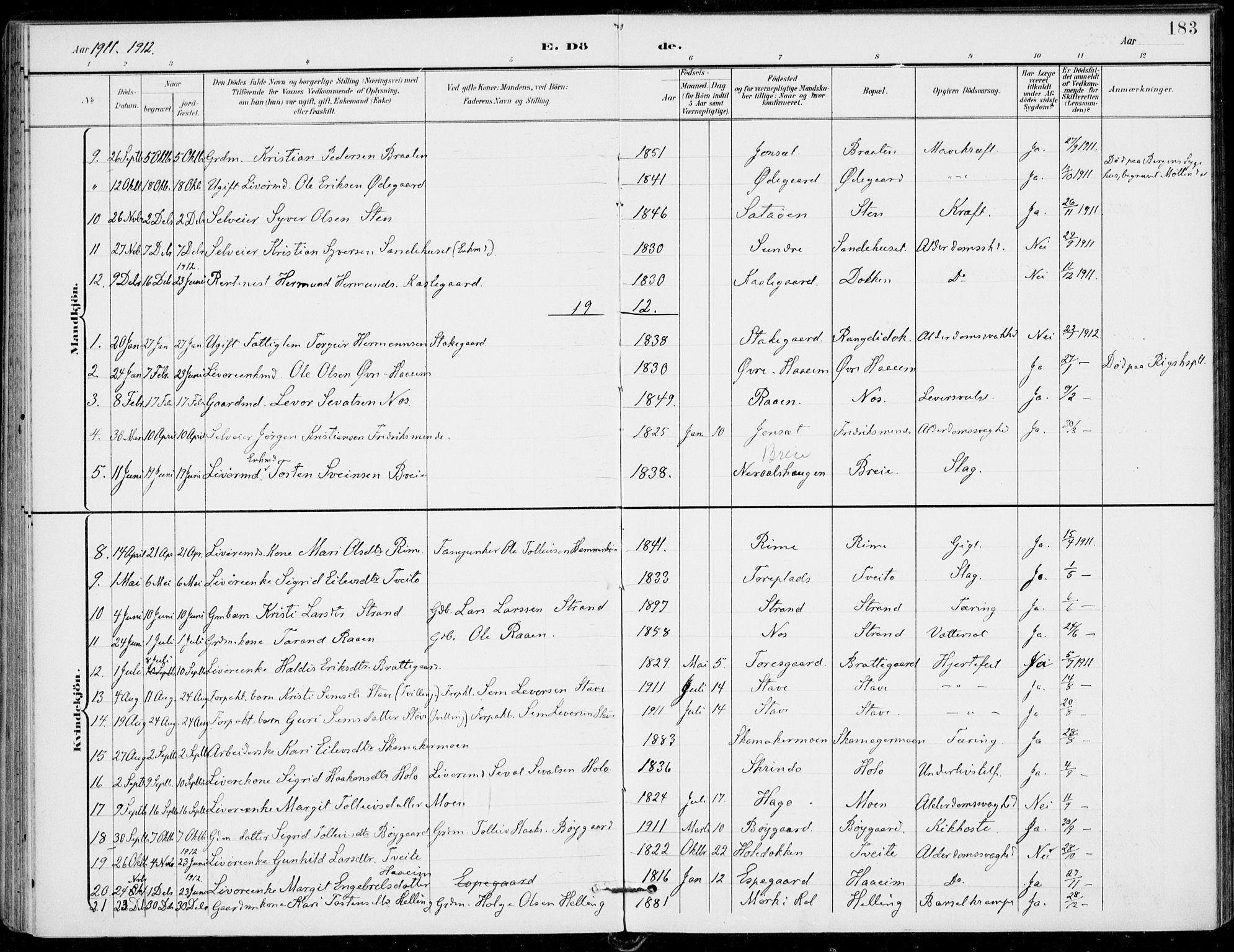 Ål kirkebøker, AV/SAKO-A-249/F/Fa/L0009: Parish register (official) no. I 9, 1897-1915, p. 183
