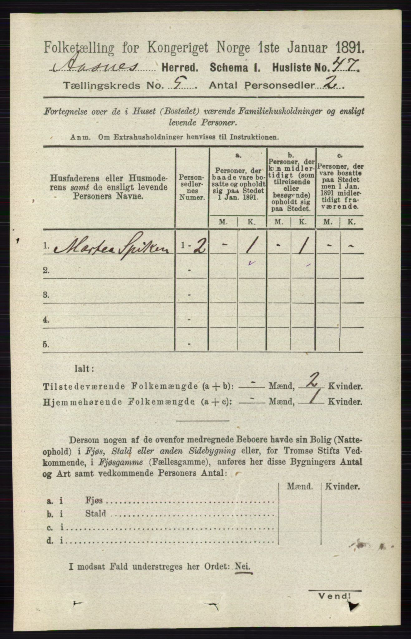 RA, 1891 census for 0425 Åsnes, 1891, p. 2423