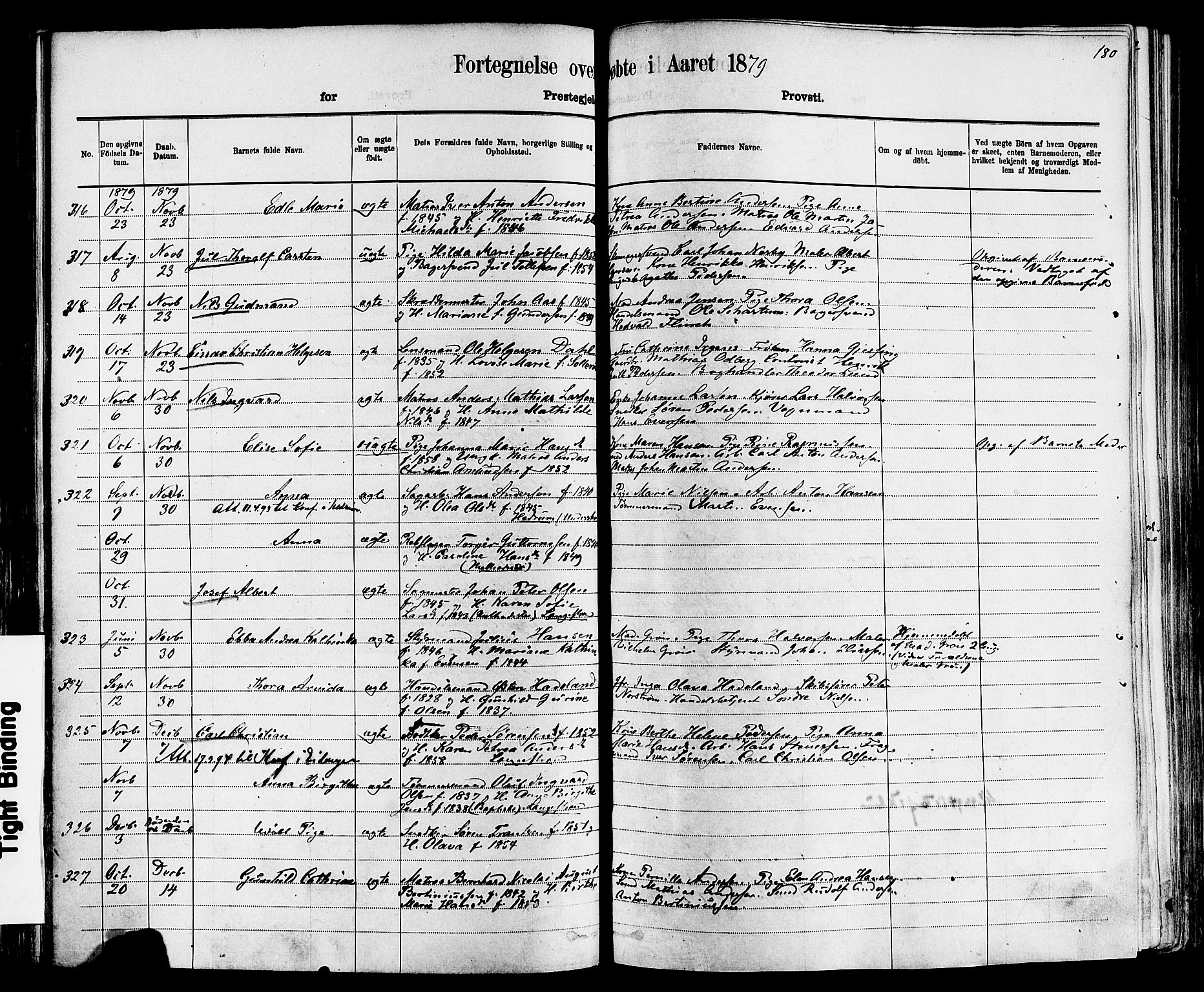 Larvik kirkebøker, AV/SAKO-A-352/F/Fa/L0006: Parish register (official) no. I 6, 1871-1883, p. 180