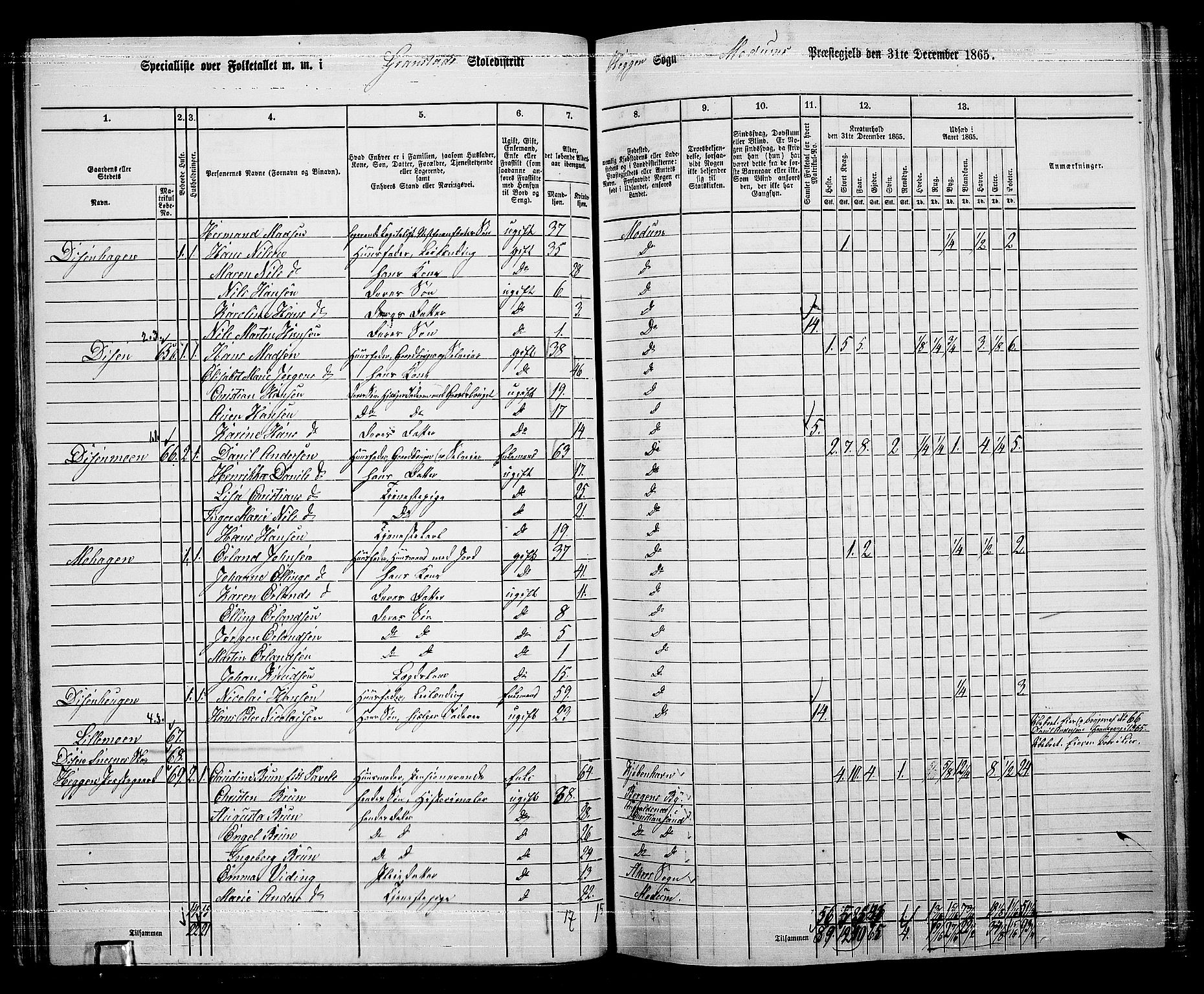 RA, 1865 census for Modum, 1865, p. 56