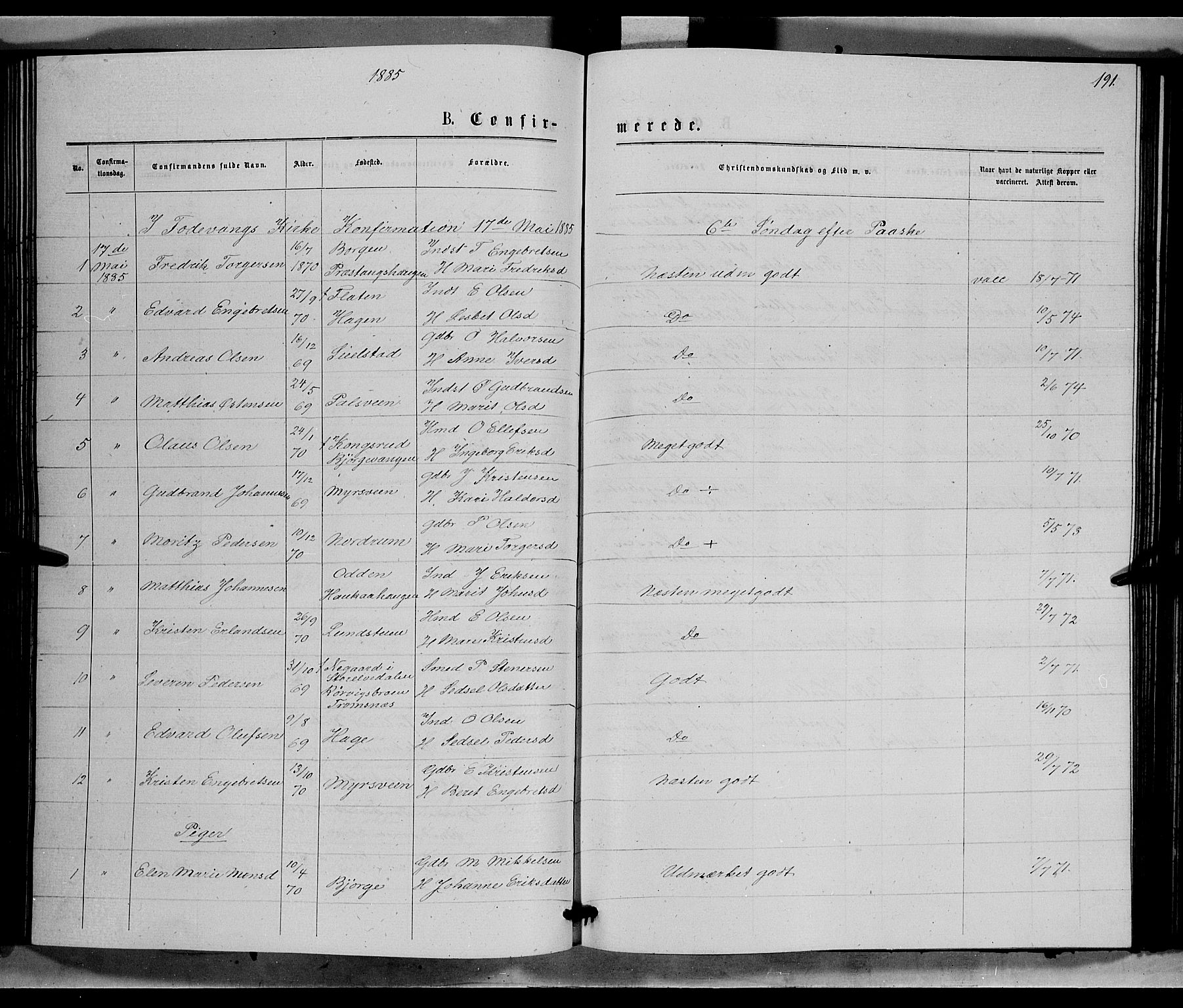 Ringebu prestekontor, SAH/PREST-082/H/Ha/Hab/L0006: Parish register (copy) no. 6, 1880-1898, p. 191