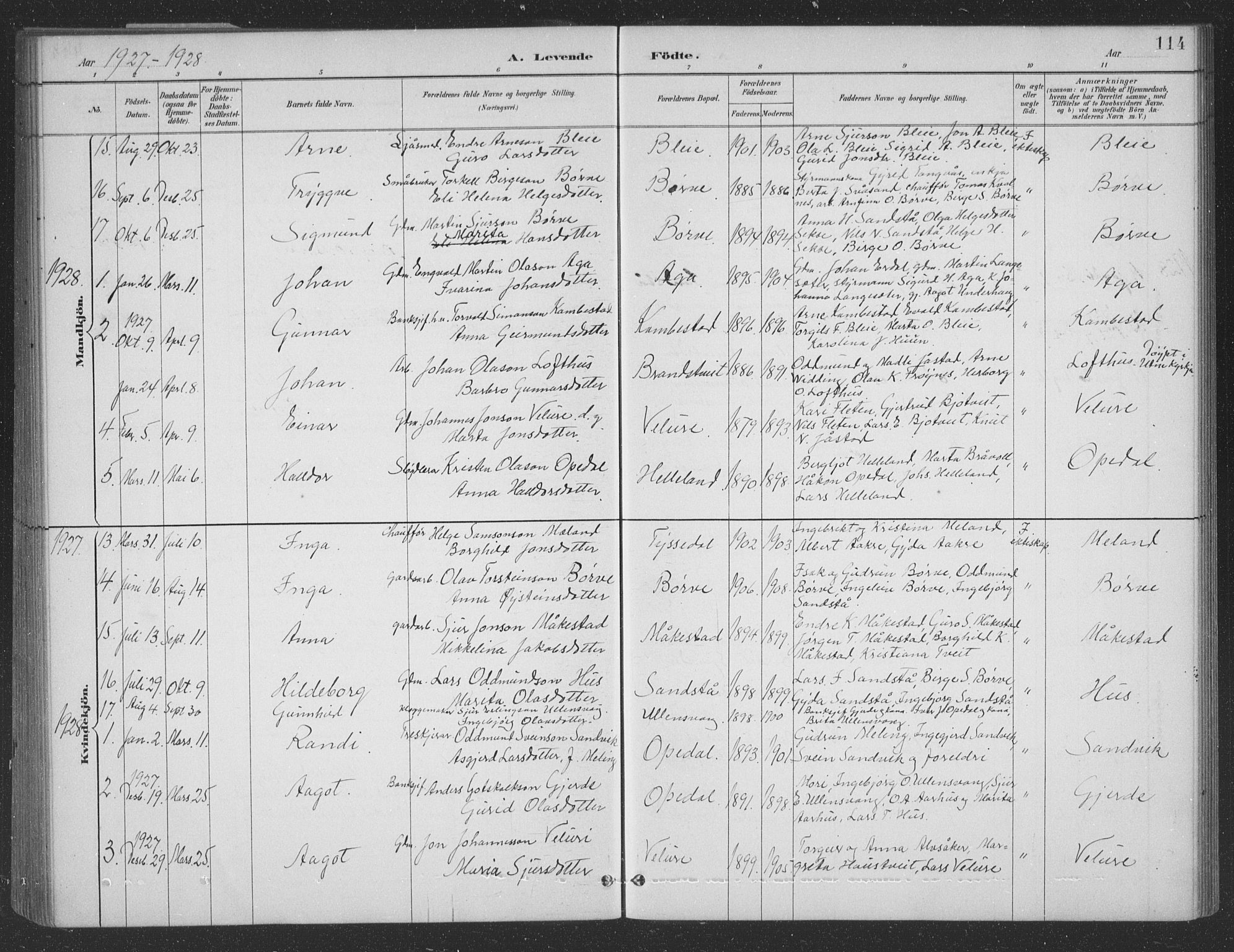 Ullensvang sokneprestembete, SAB/A-78701/H/Hab: Parish register (copy) no. B 11, 1887-1939, p. 114
