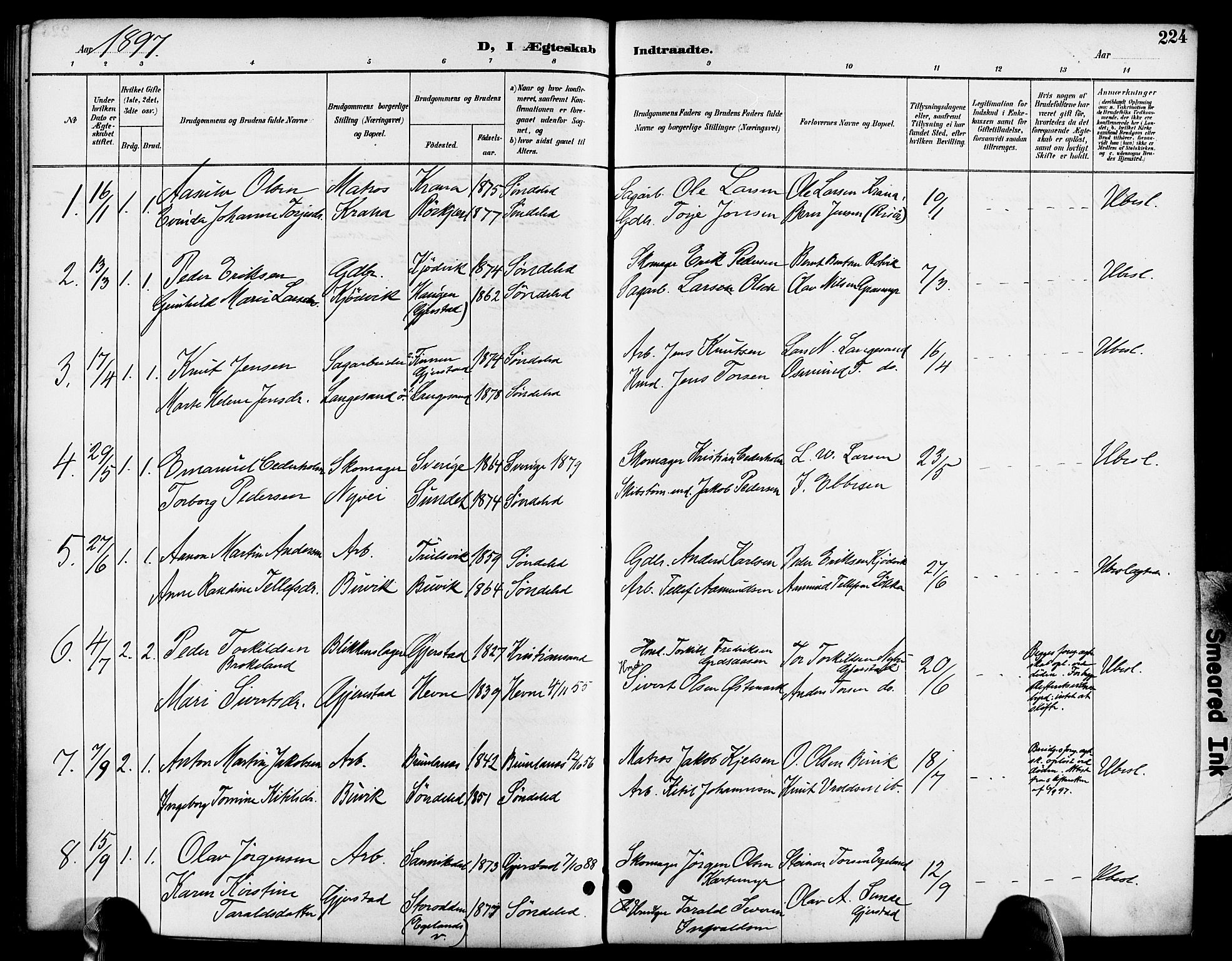 Søndeled sokneprestkontor, AV/SAK-1111-0038/F/Fa/L0005: Parish register (official) no. A 5, 1889-1899, p. 224