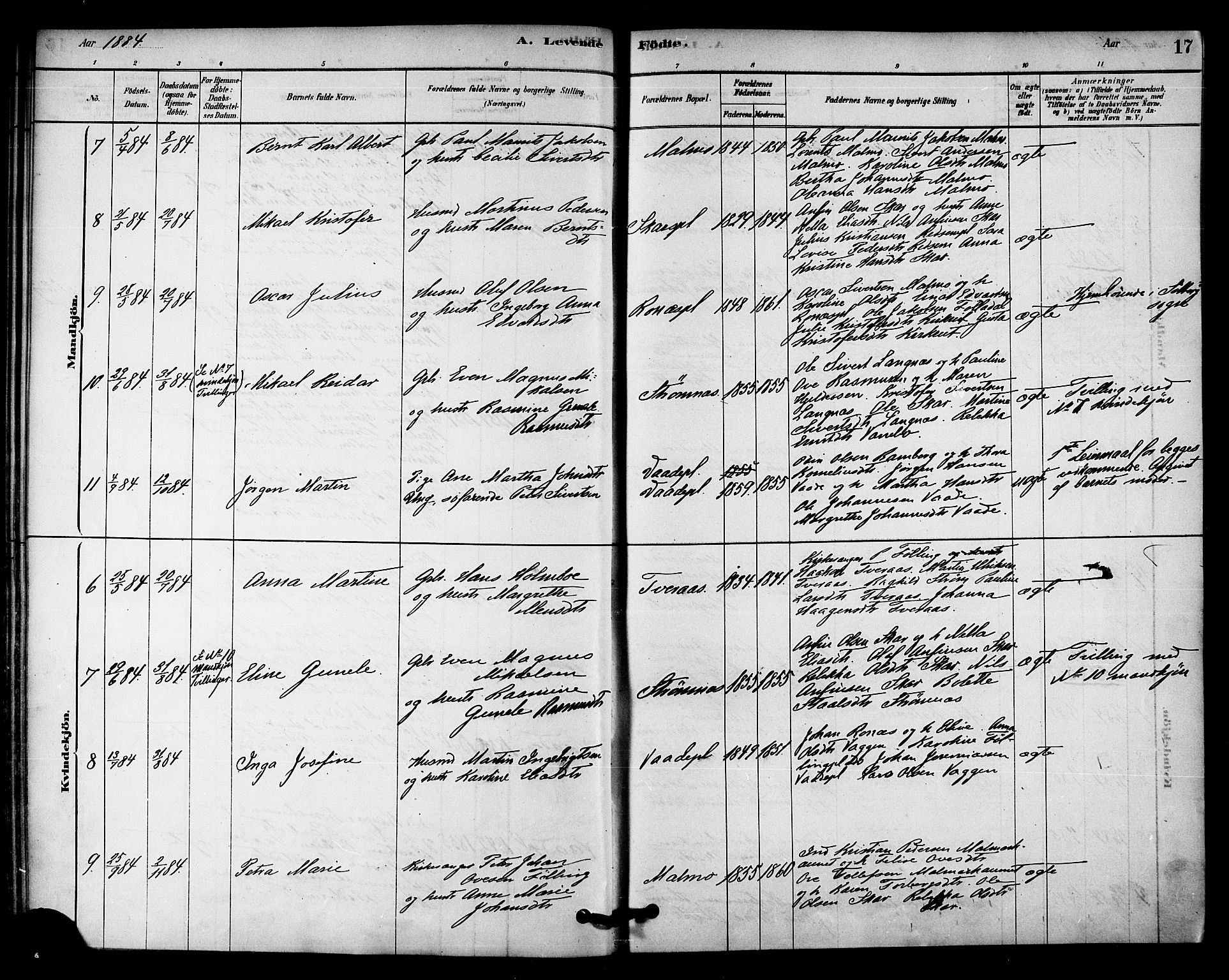 Ministerialprotokoller, klokkerbøker og fødselsregistre - Nord-Trøndelag, SAT/A-1458/745/L0429: Parish register (official) no. 745A01, 1878-1894, p. 17