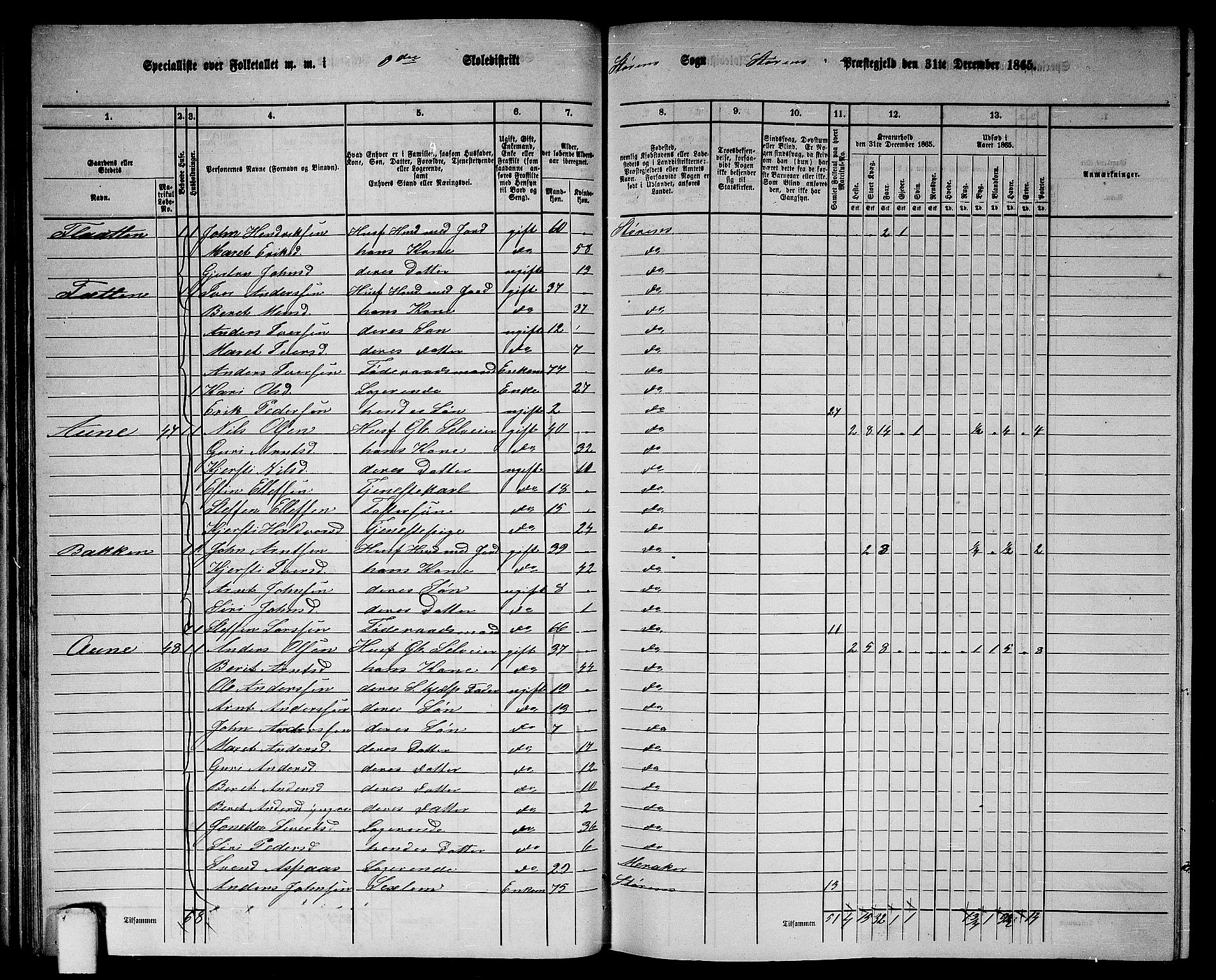 RA, 1865 census for Støren, 1865, p. 56