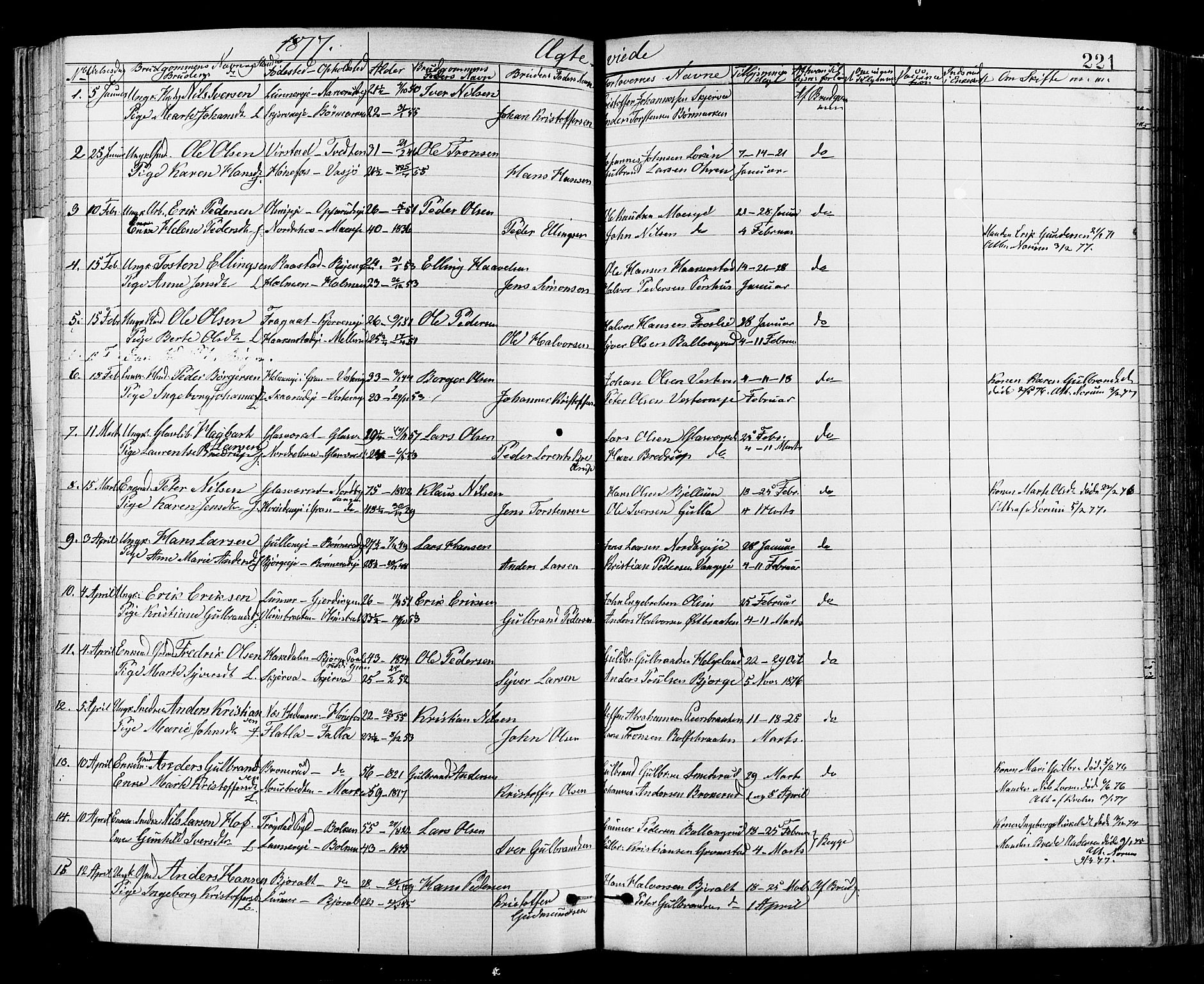 Jevnaker prestekontor, SAH/PREST-116/H/Ha/Haa/L0008: Parish register (official) no. 8, 1877-1890, p. 221