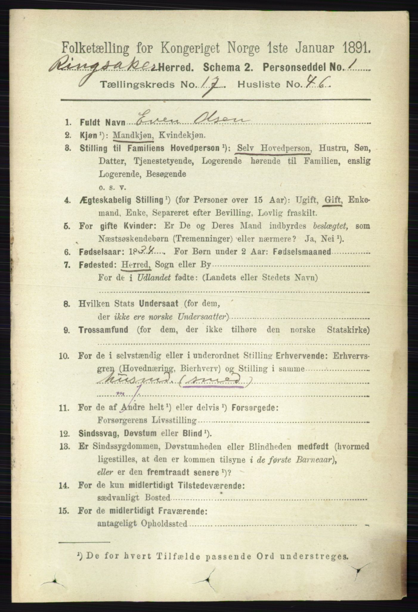 RA, 1891 census for 0412 Ringsaker, 1891, p. 10037