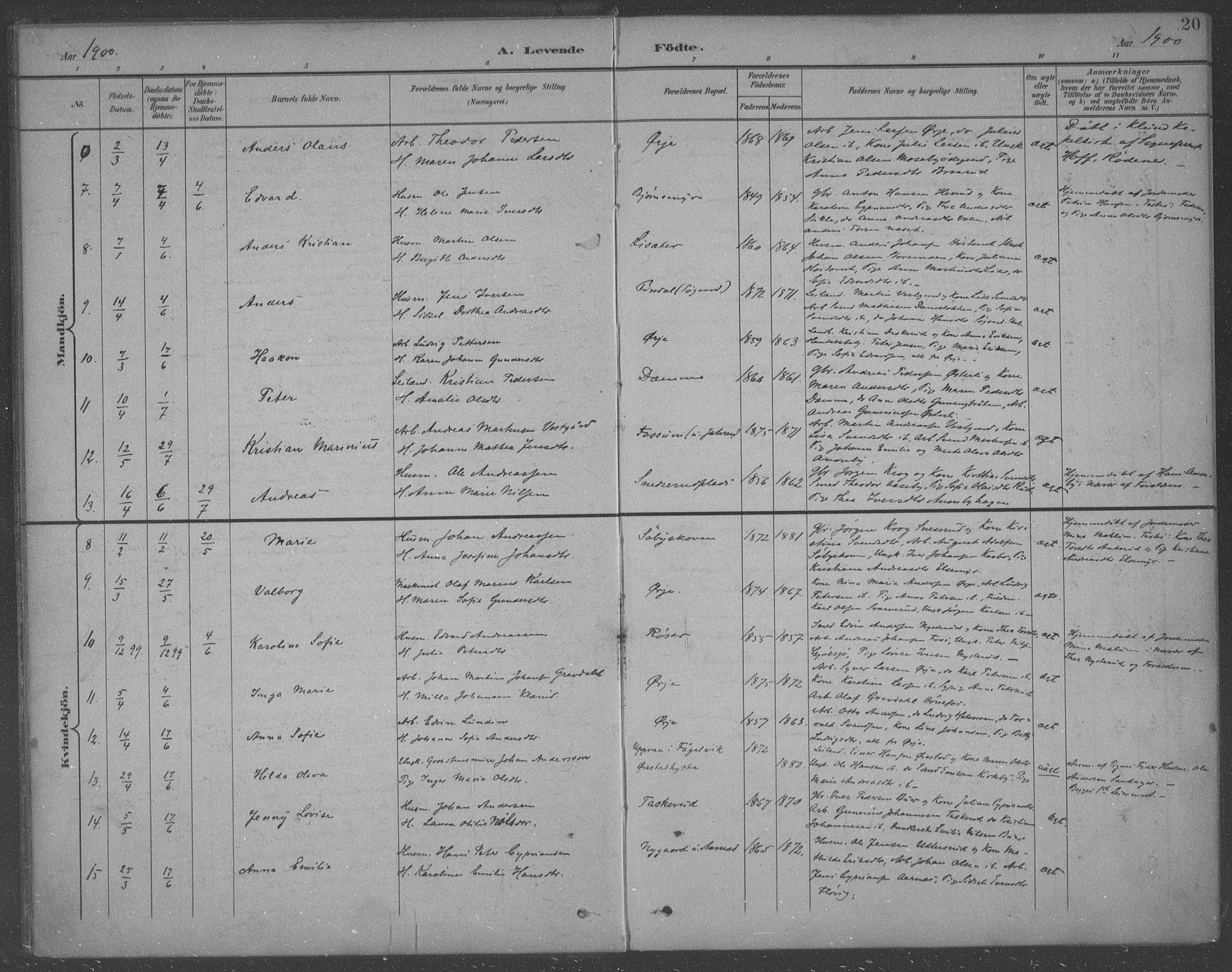 Aremark prestekontor Kirkebøker, AV/SAO-A-10899/F/Fb/L0005: Parish register (official) no. II 5, 1895-1919, p. 20