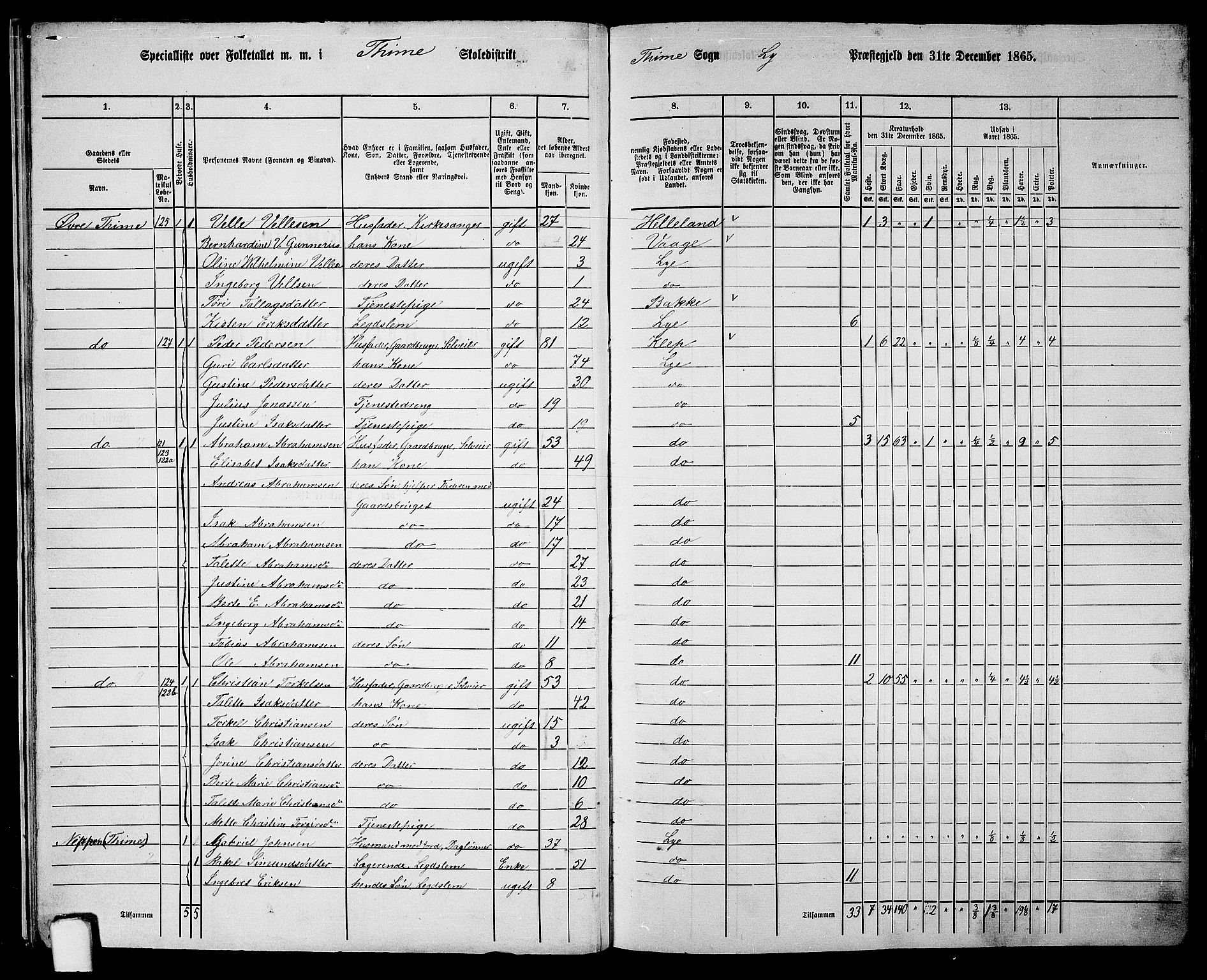 RA, 1865 census for Lye, 1865, p. 15