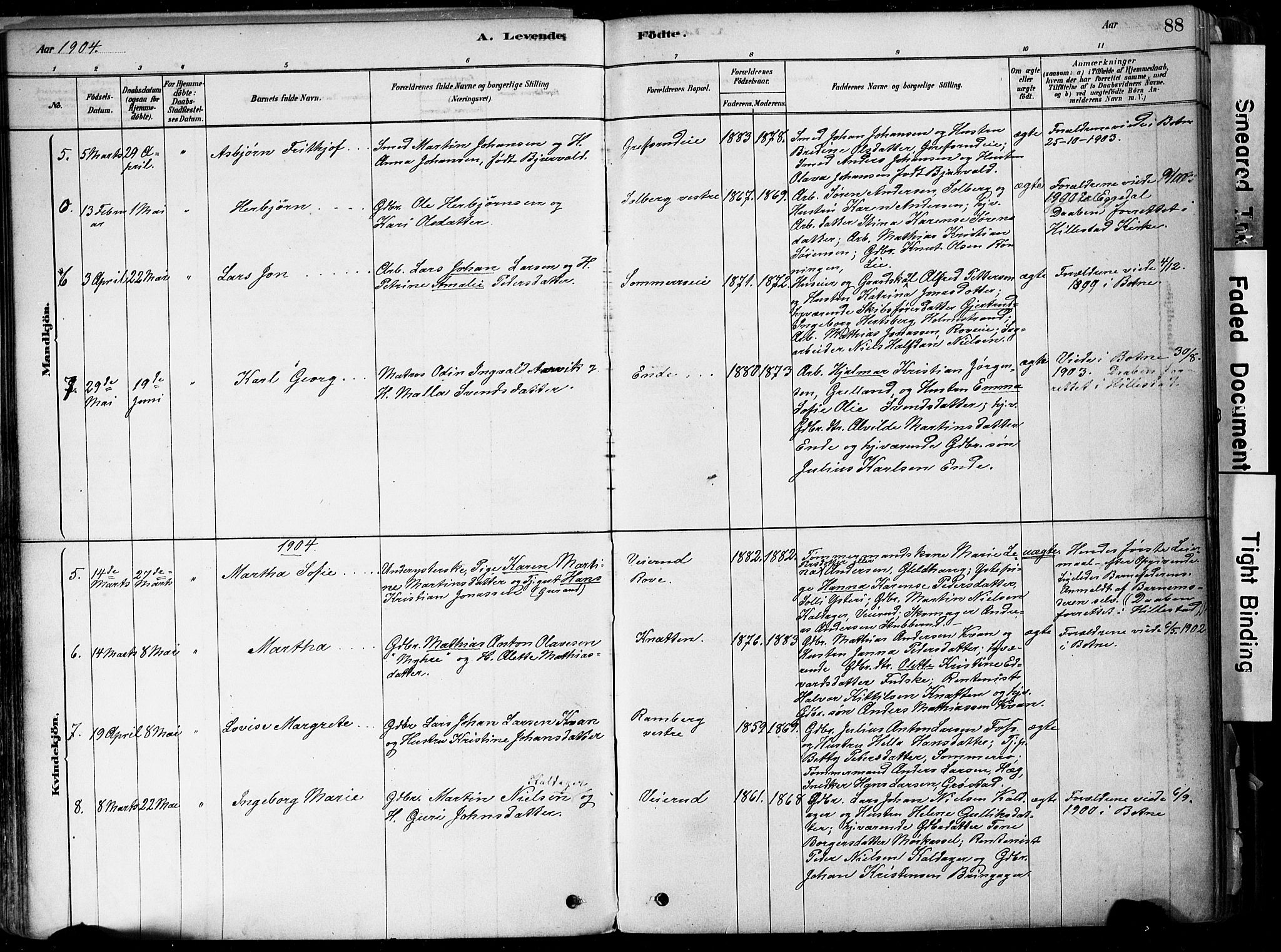 Botne kirkebøker, AV/SAKO-A-340/F/Fa/L0007: Parish register (official) no. I 7, 1878-1910, p. 88