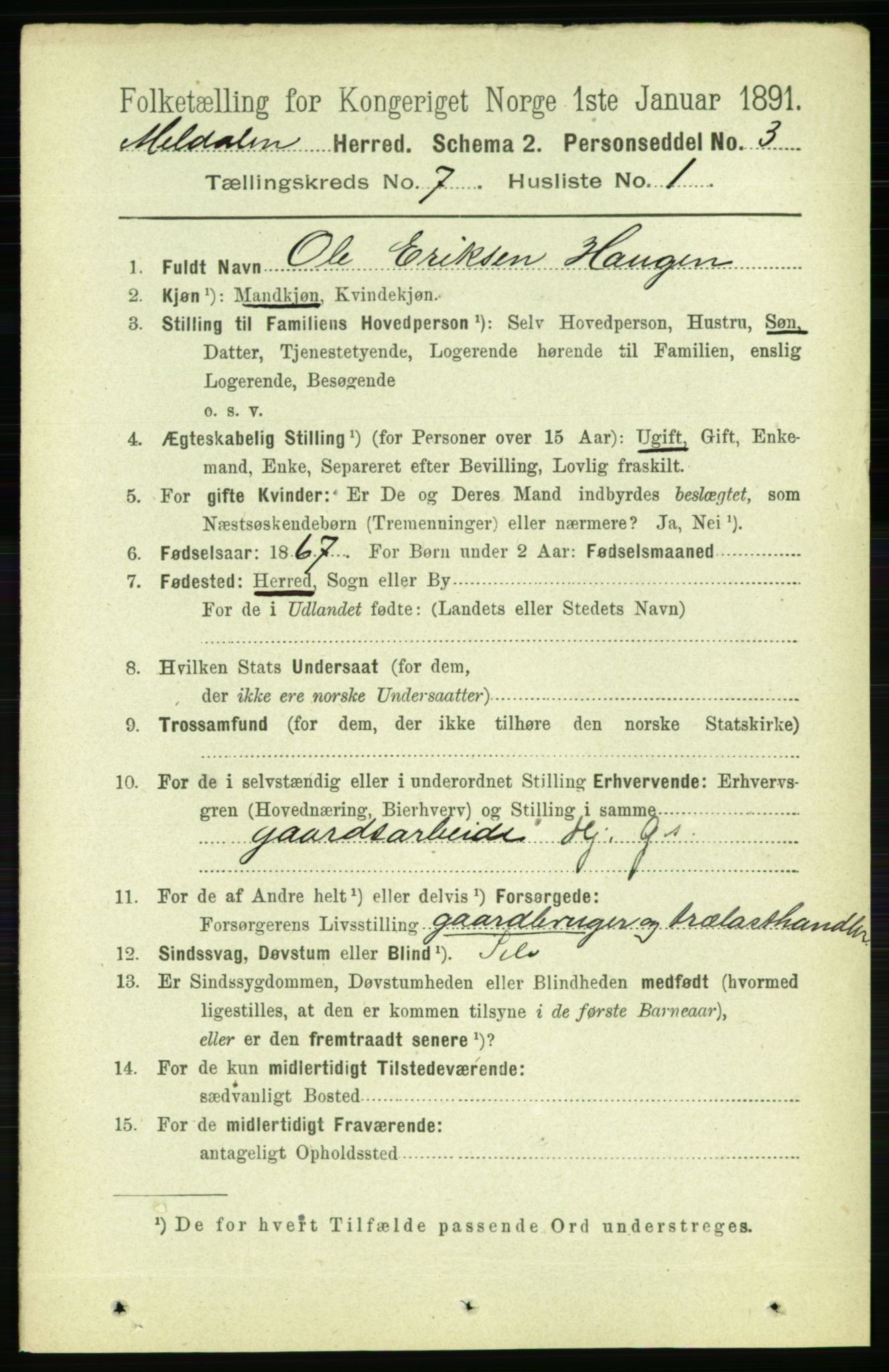 RA, 1891 census for 1636 Meldal, 1891, p. 3412