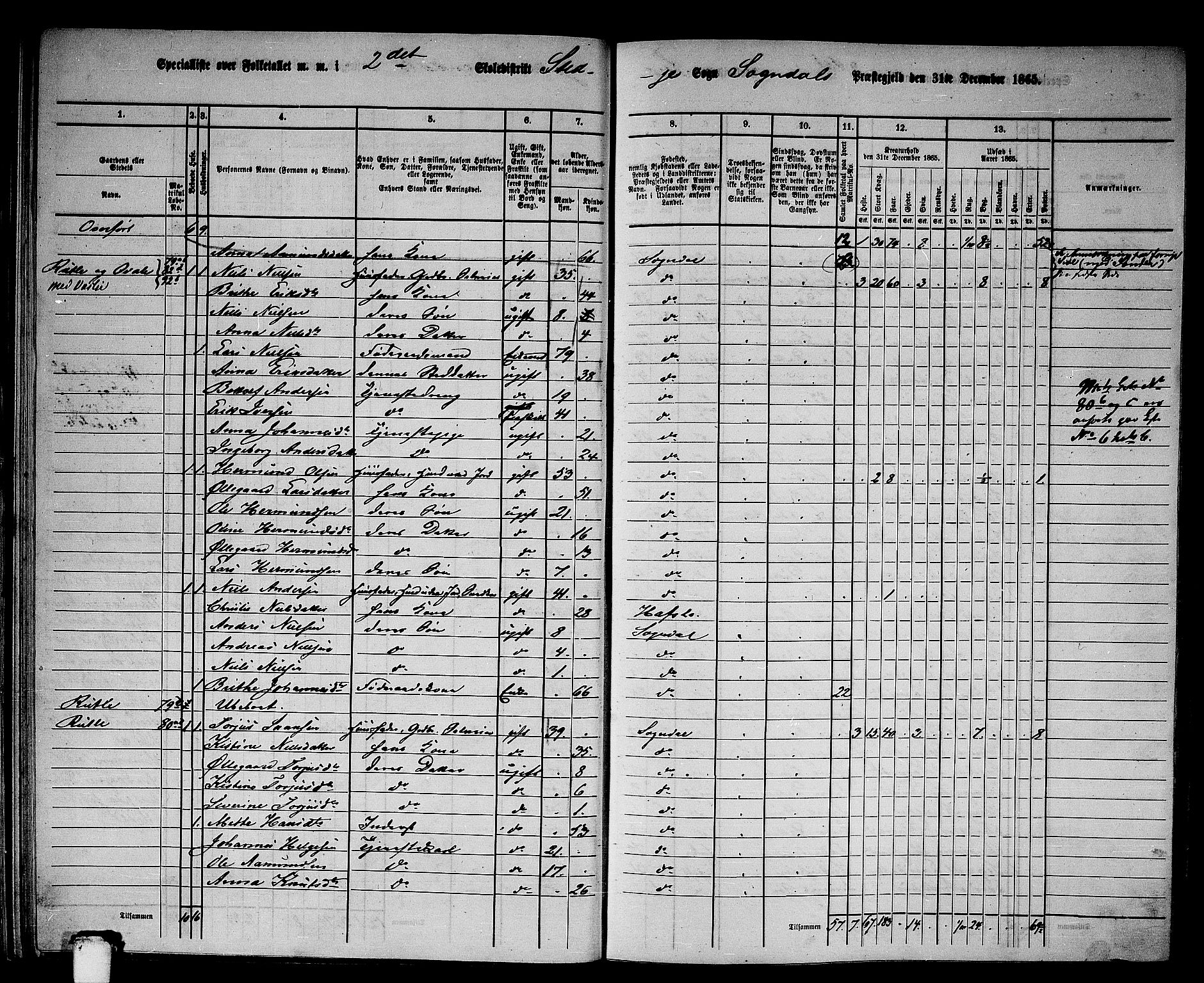 RA, 1865 census for Sogndal, 1865, p. 45