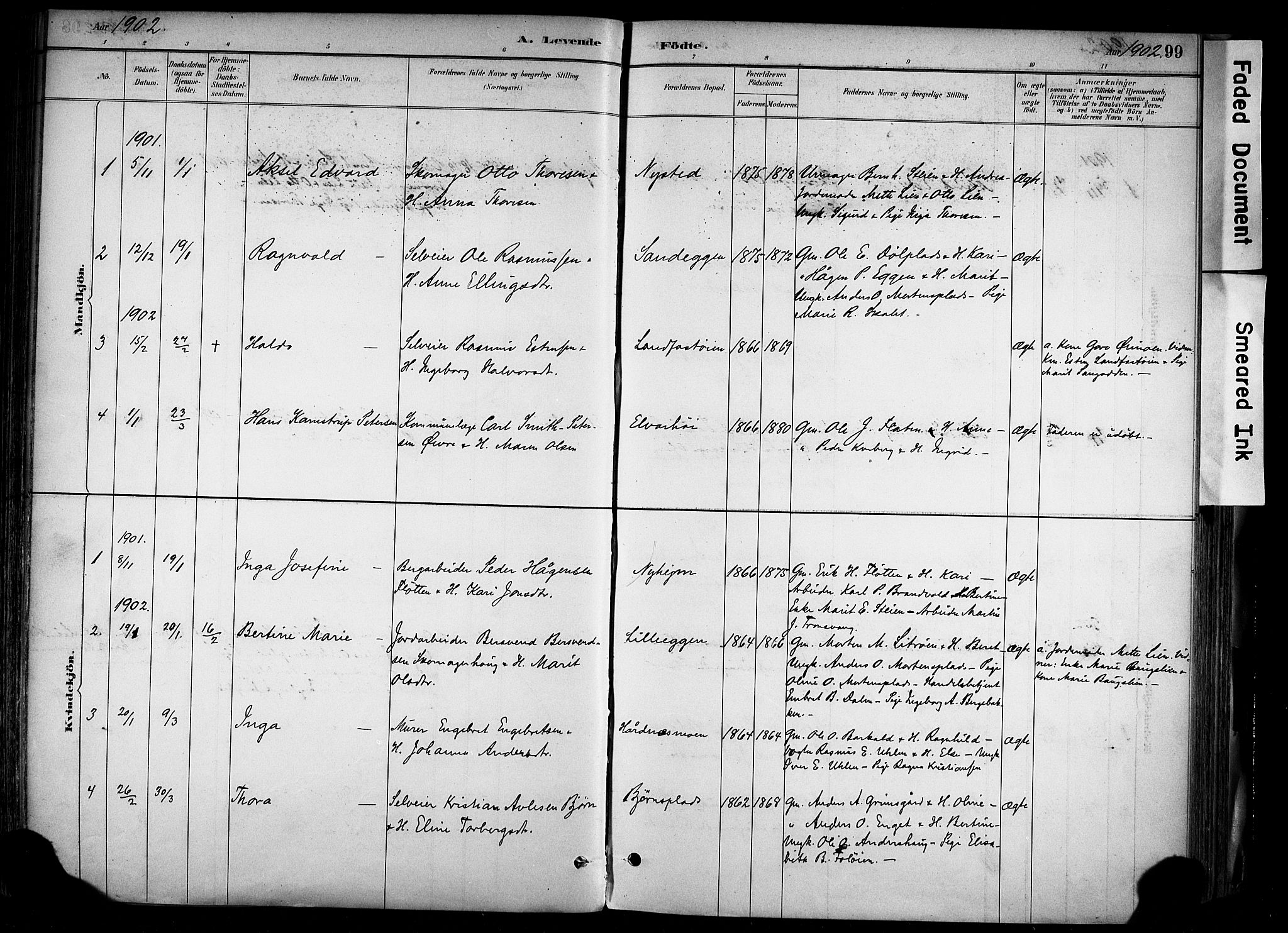 Alvdal prestekontor, AV/SAH-PREST-060/H/Ha/Haa/L0002: Parish register (official) no. 2, 1883-1906, p. 99