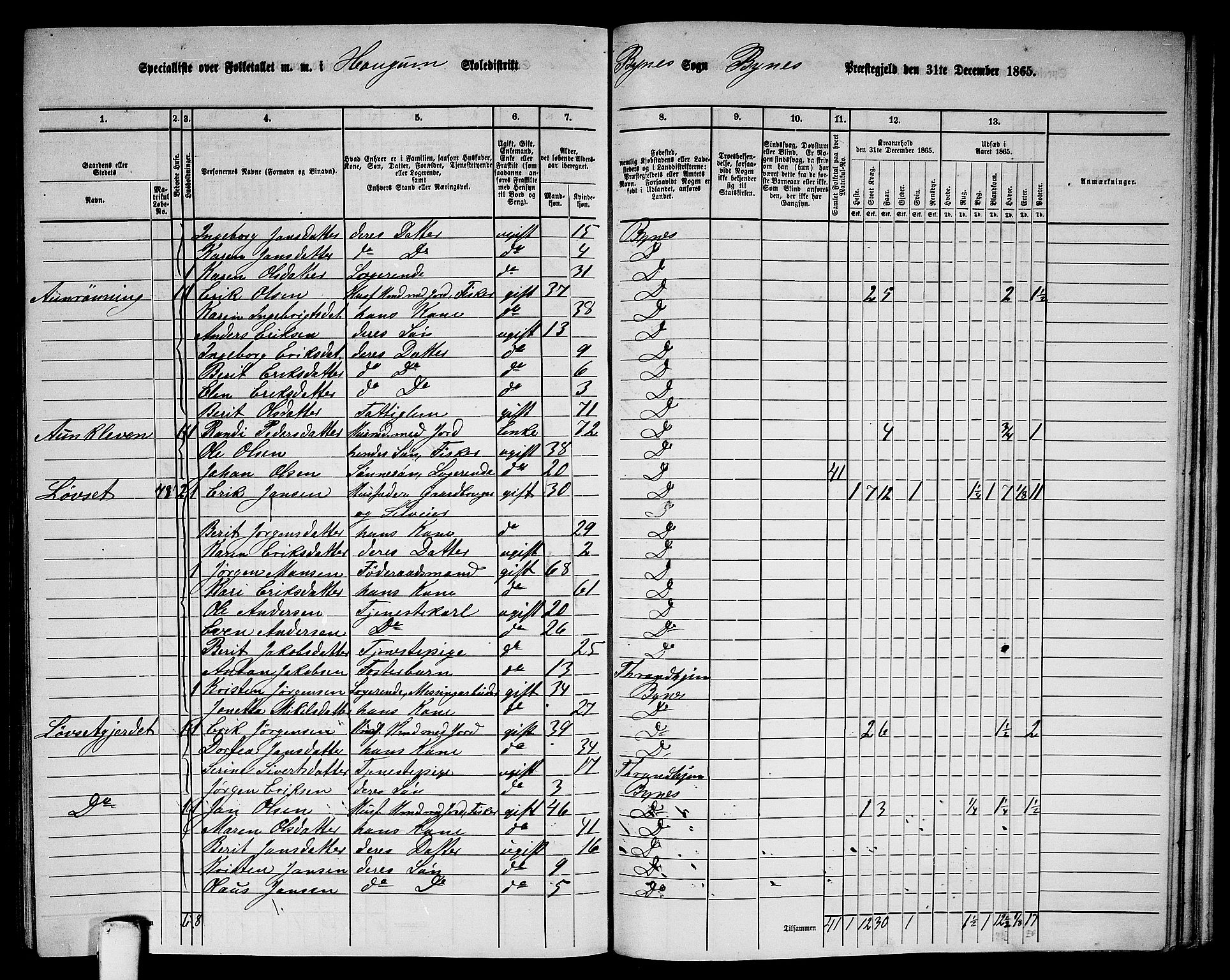 RA, 1865 census for Byneset, 1865, p. 80