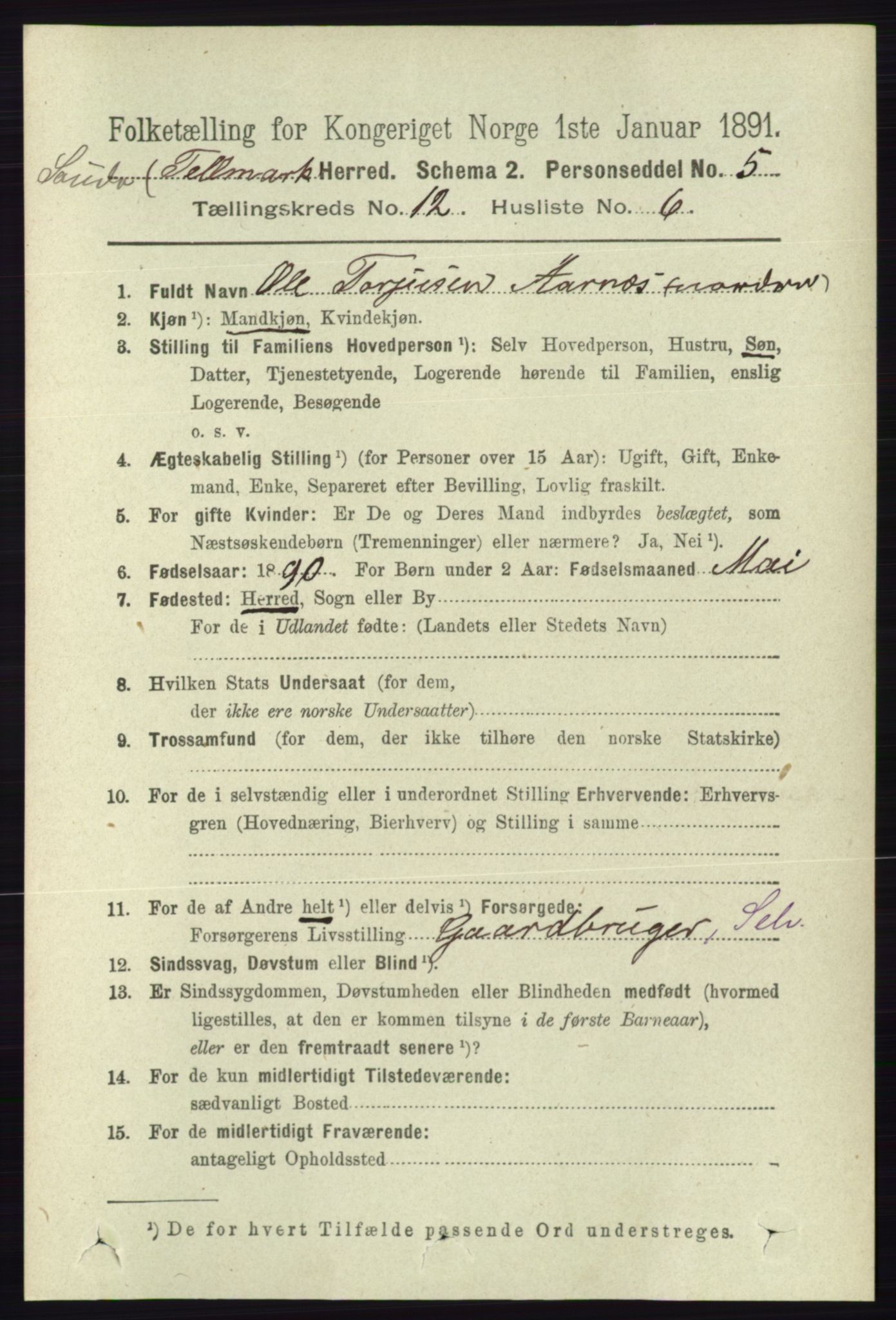 RA, 1891 census for 0822 Sauherad, 1891, p. 3656