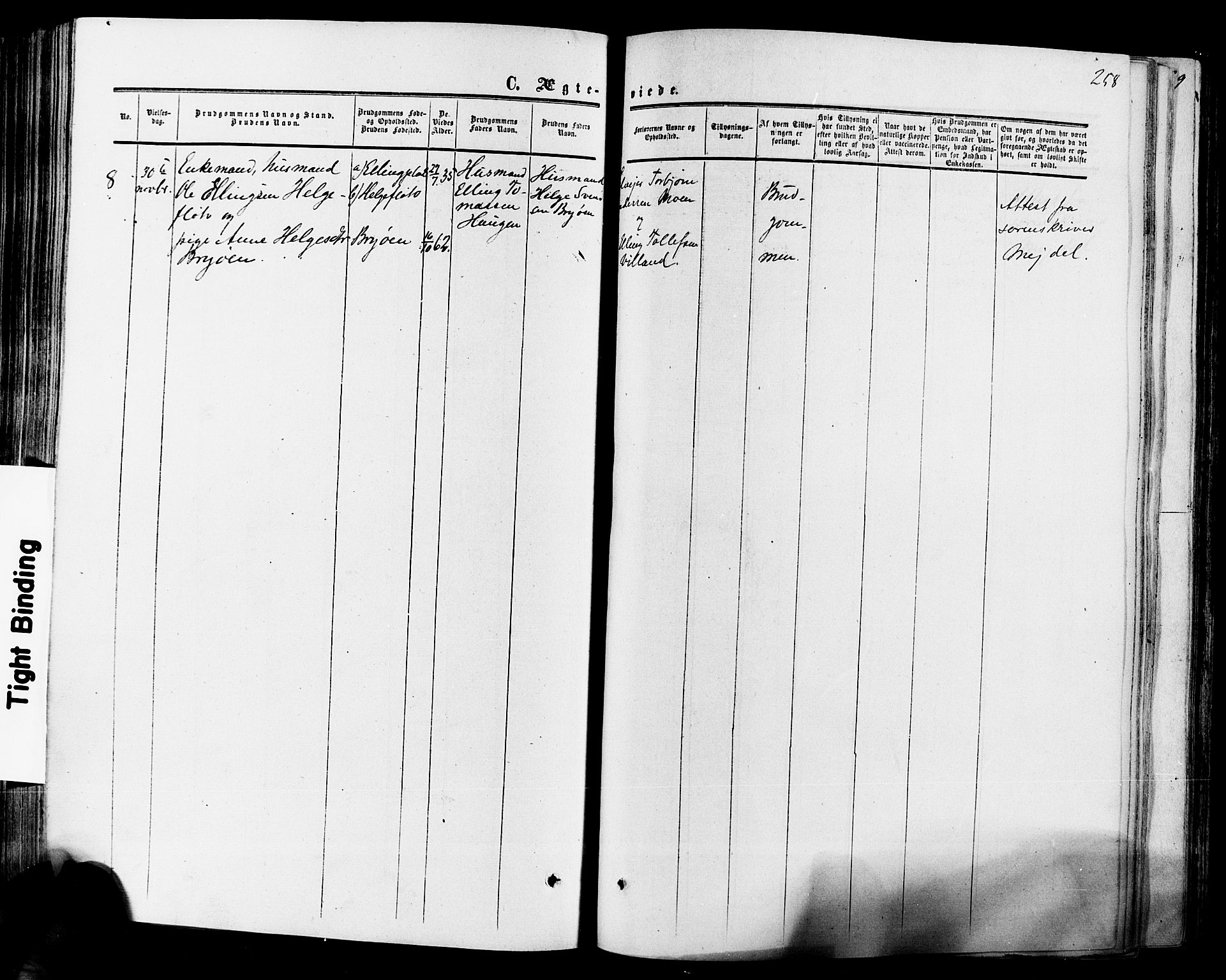 Hol kirkebøker, SAKO/A-227/F/Fa/L0002: Parish register (official) no. I 2, 1870-1886, p. 258