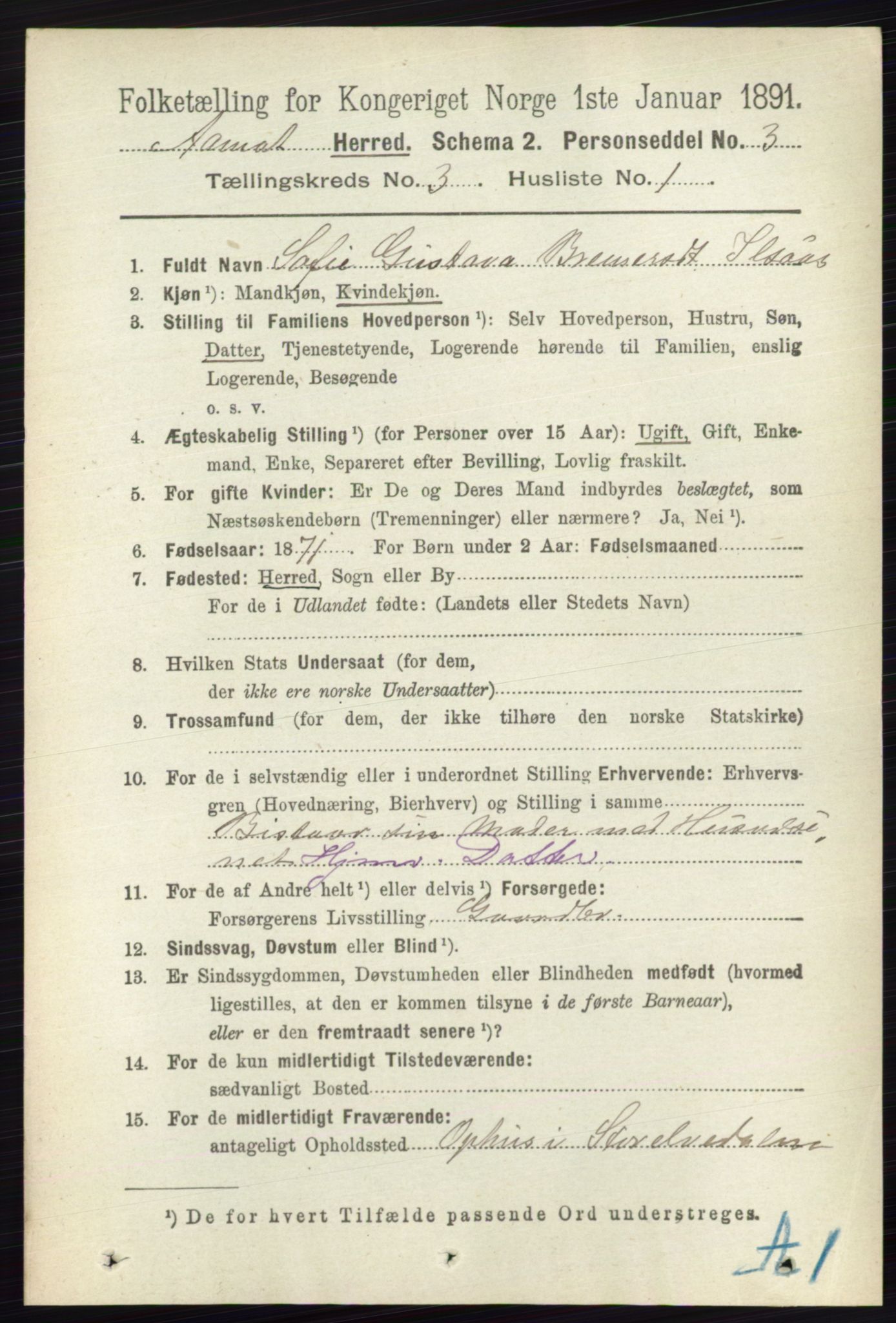 RA, 1891 census for 0429 Åmot, 1891, p. 1494