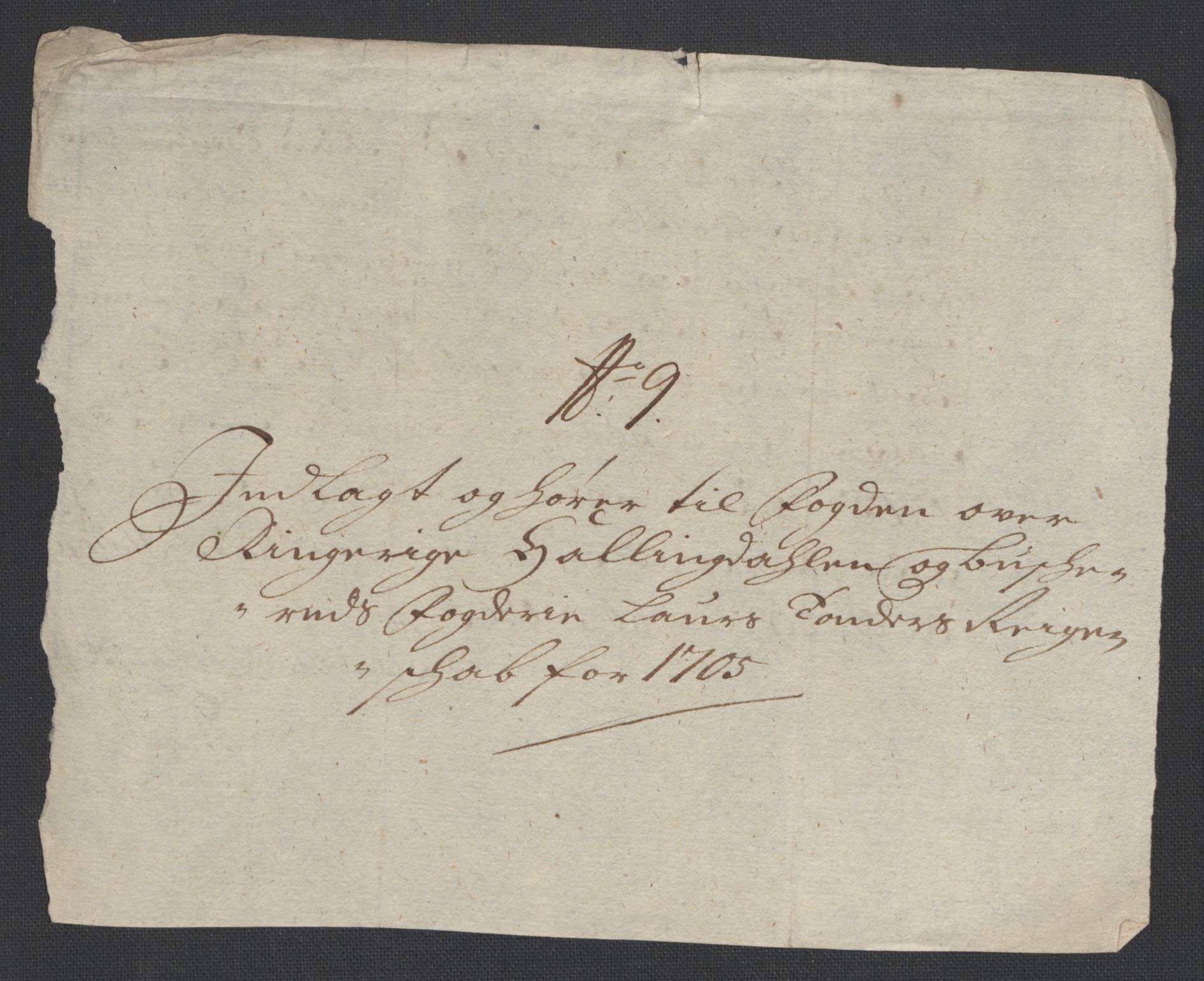 Rentekammeret inntil 1814, Reviderte regnskaper, Fogderegnskap, RA/EA-4092/R22/L1464: Fogderegnskap Ringerike, Hallingdal og Buskerud, 1705, p. 223