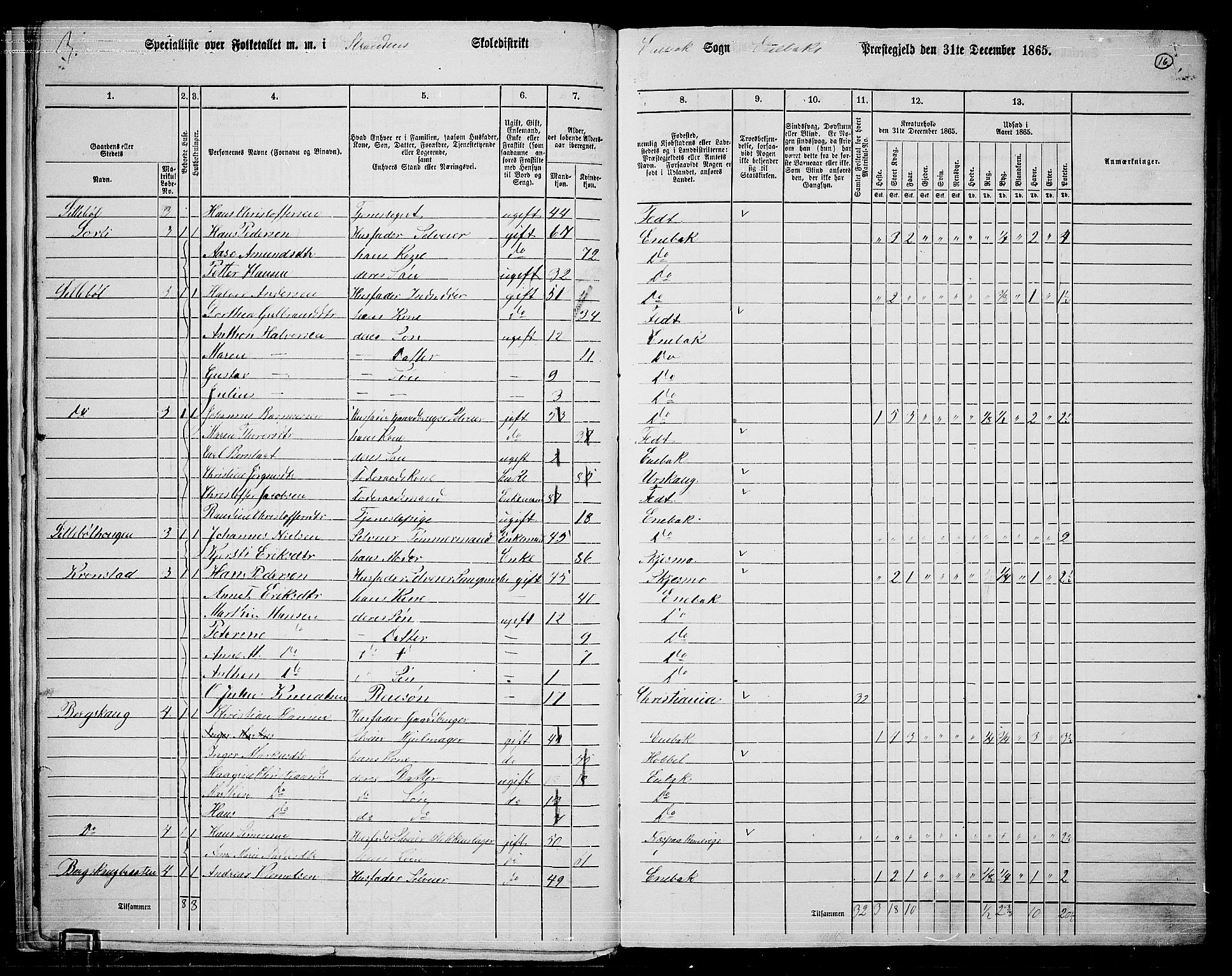 RA, 1865 census for Enebakk, 1865, p. 14