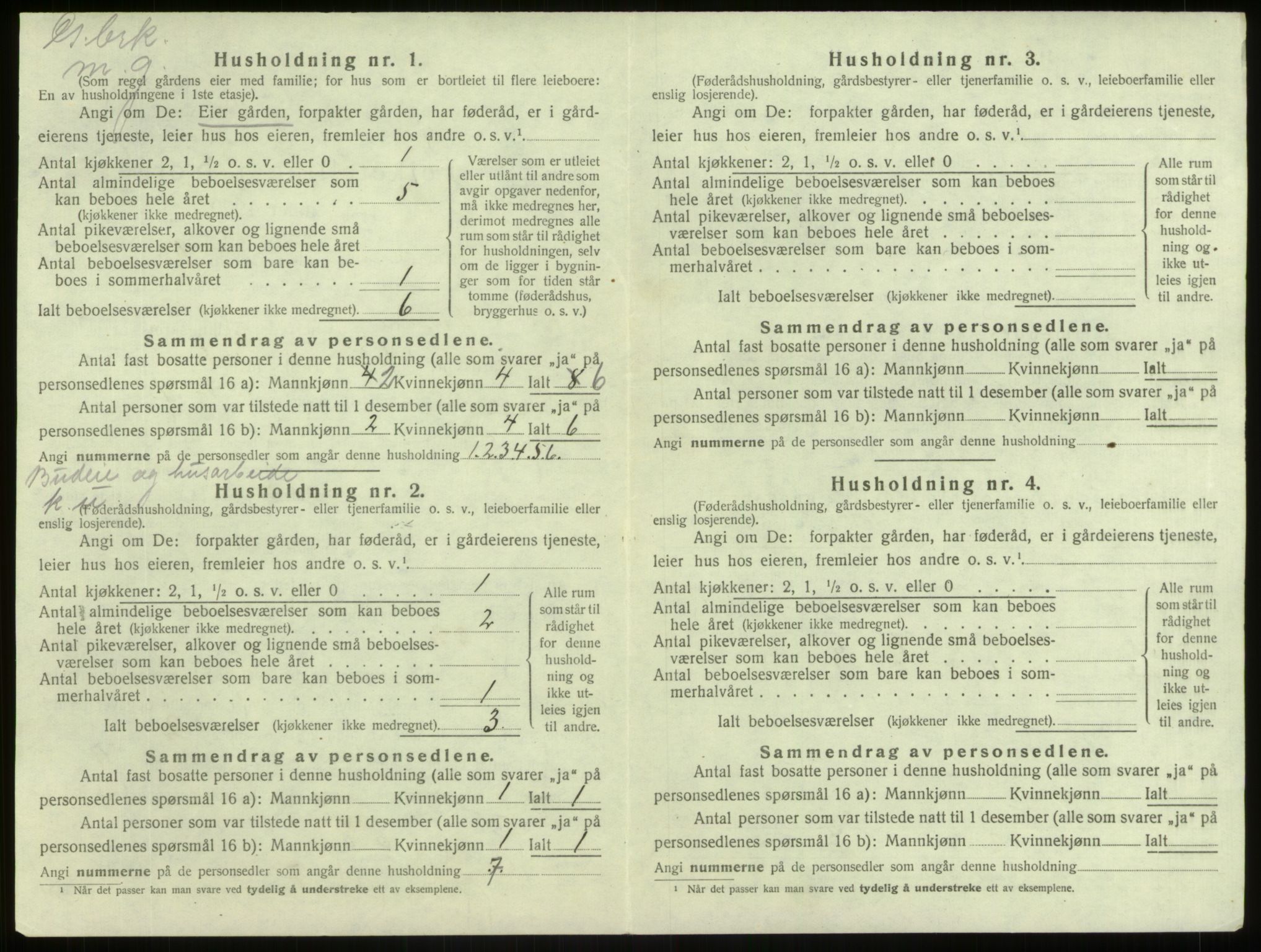 SAB, 1920 census for Lærdal, 1920, p. 717