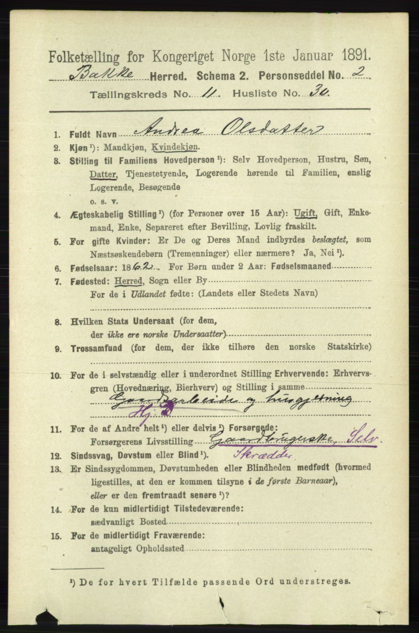 RA, 1891 census for 1045 Bakke, 1891, p. 2373