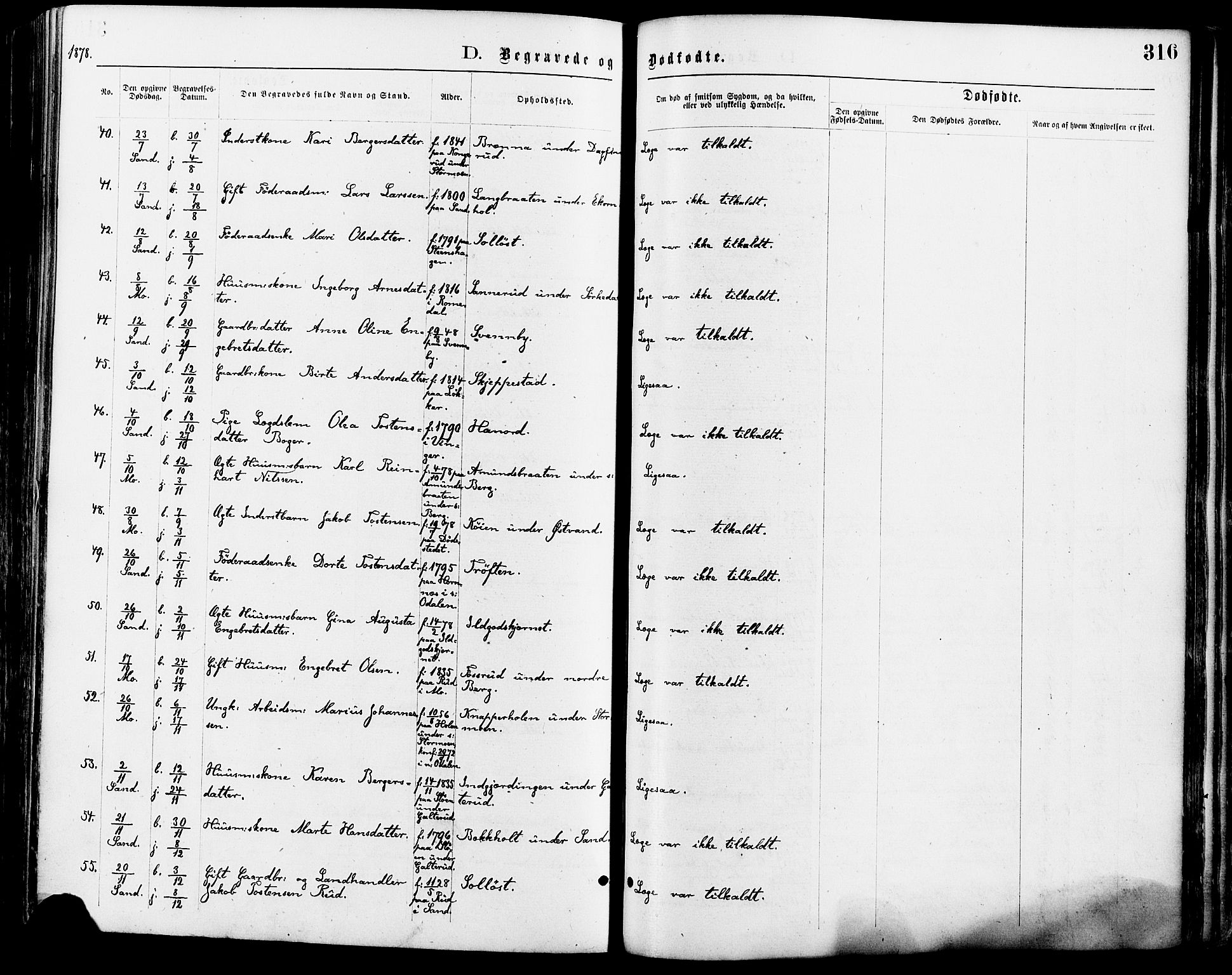 Nord-Odal prestekontor, AV/SAH-PREST-032/H/Ha/Haa/L0005: Parish register (official) no. 5, 1874-1885, p. 316