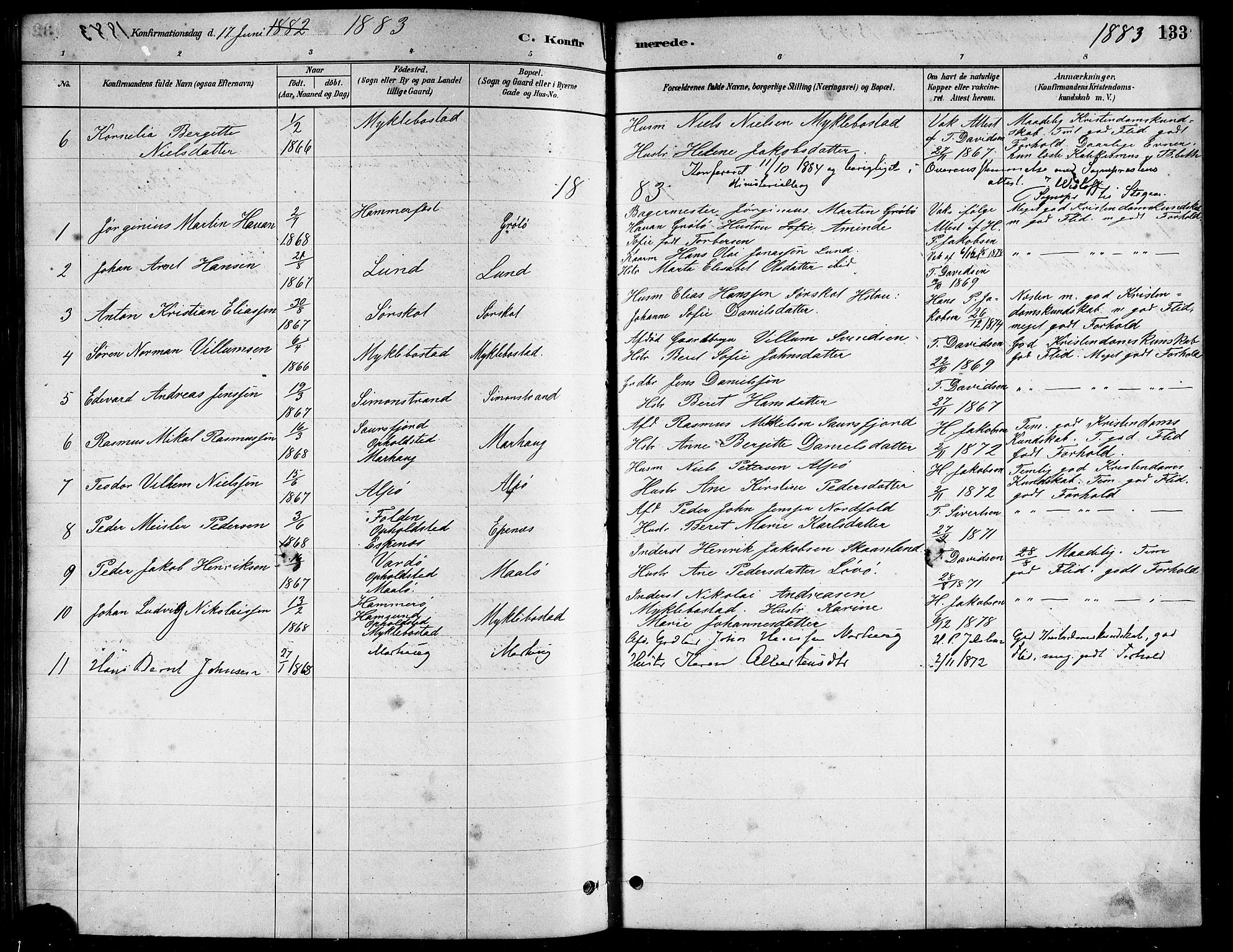 Ministerialprotokoller, klokkerbøker og fødselsregistre - Nordland, AV/SAT-A-1459/857/L0828: Parish register (copy) no. 857C03, 1879-1908, p. 133