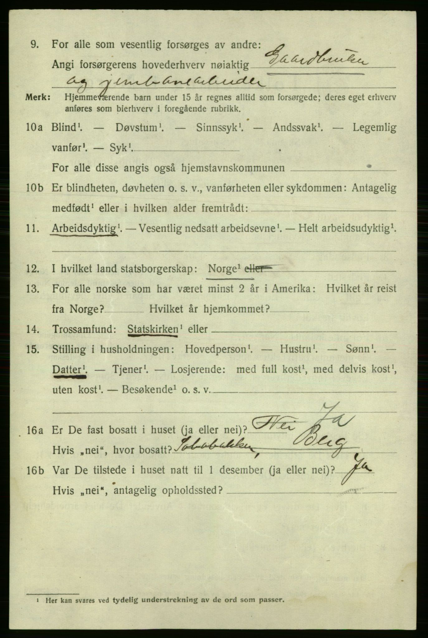 SAO, 1920 census for Fredrikshald, 1920, p. 17374