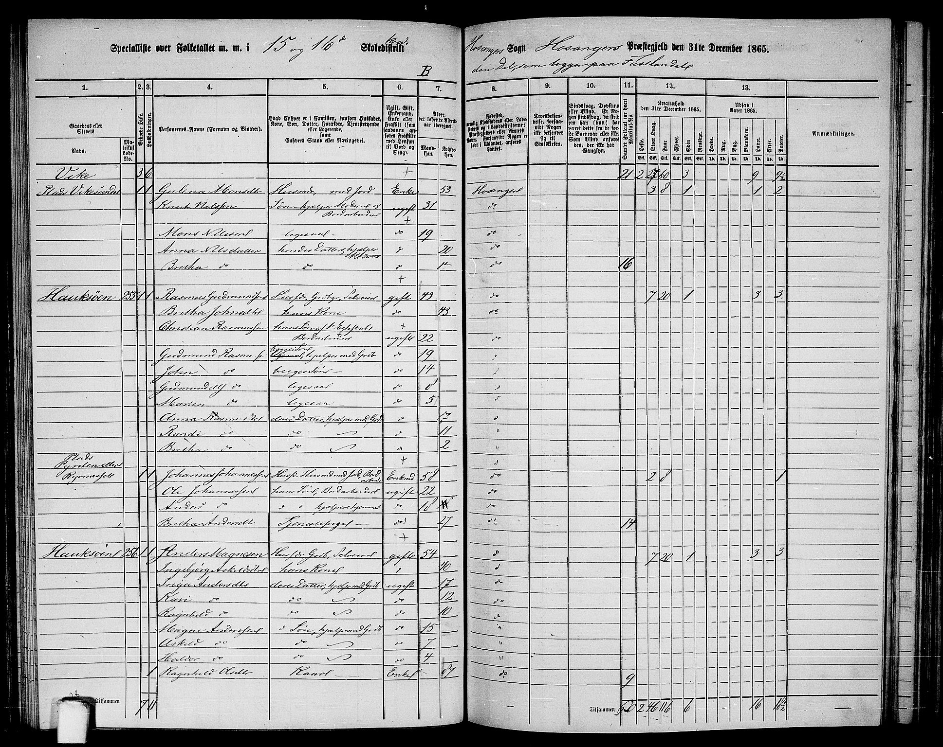 RA, 1865 census for Hosanger, 1865, p. 100