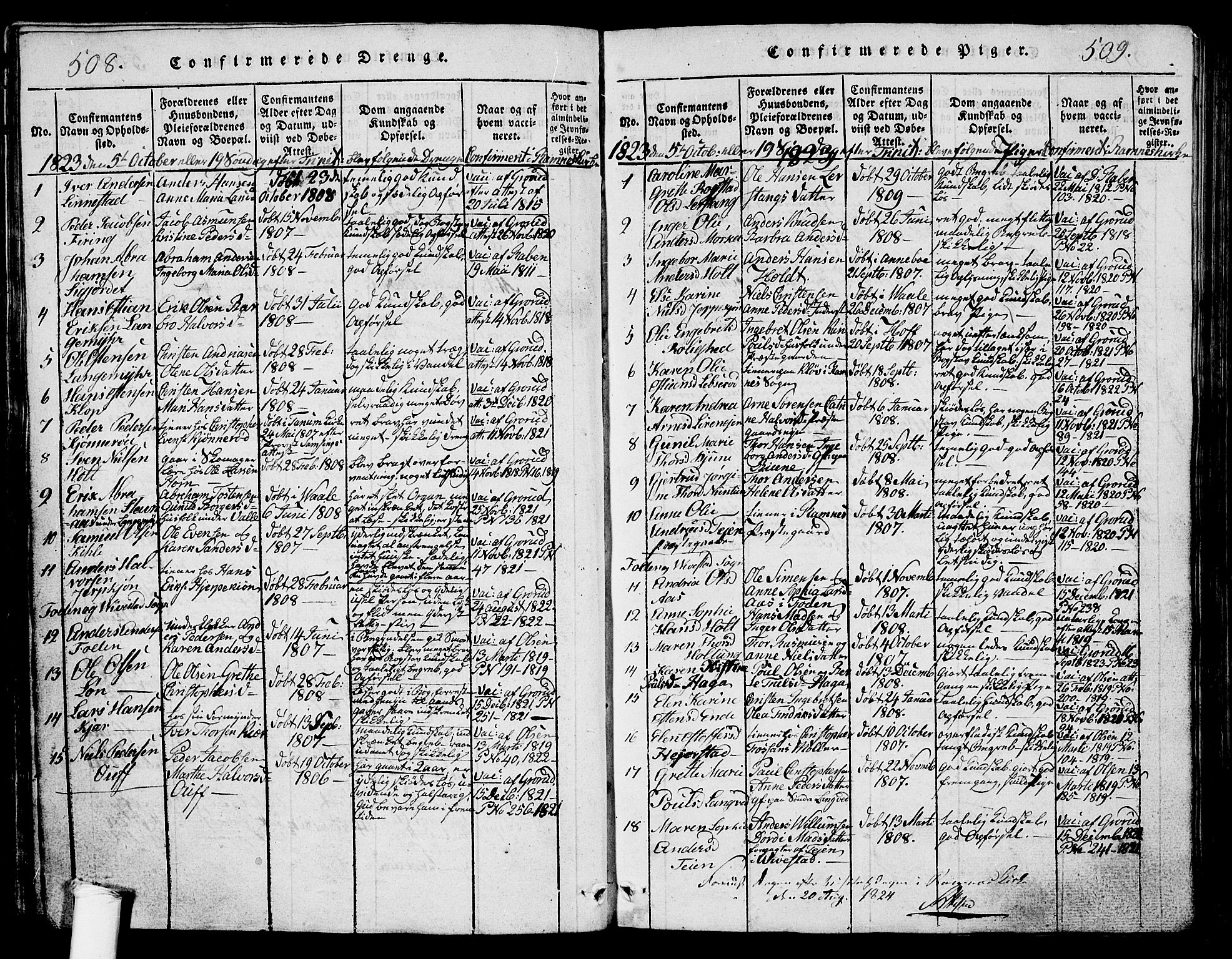 Ramnes kirkebøker, SAKO/A-314/G/Ga/L0001: Parish register (copy) no. I 1, 1813-1847, p. 508-509