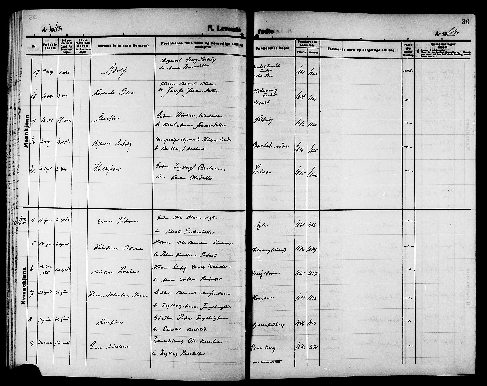 Ministerialprotokoller, klokkerbøker og fødselsregistre - Nord-Trøndelag, SAT/A-1458/749/L0487: Parish register (official) no. 749D03, 1887-1902, p. 36