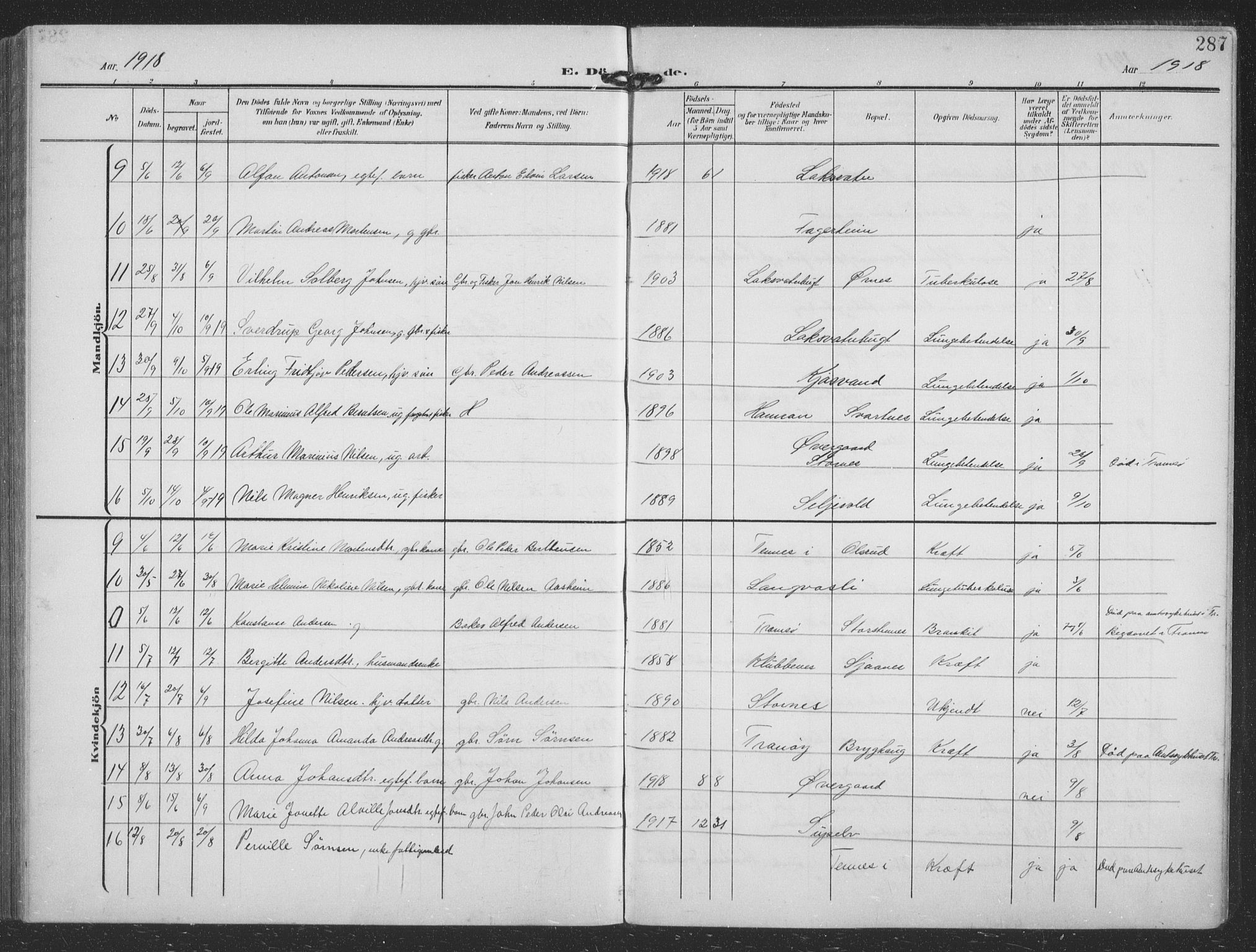 Balsfjord sokneprestembete, SATØ/S-1303/G/Ga/L0009klokker: Parish register (copy) no. 9, 1906-1920, p. 287