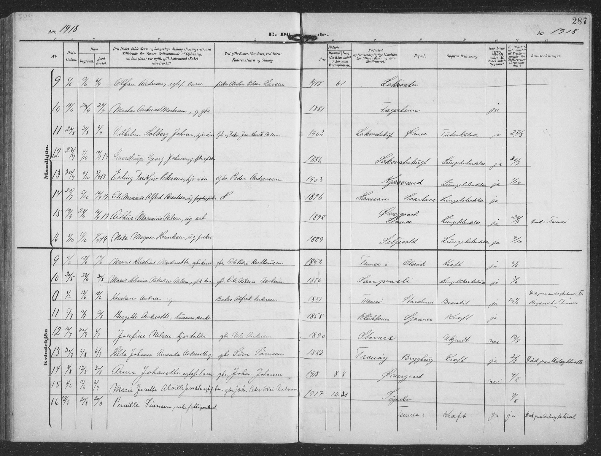 Balsfjord sokneprestembete, AV/SATØ-S-1303/G/Ga/L0009klokker: Parish register (copy) no. 9, 1906-1920, p. 287