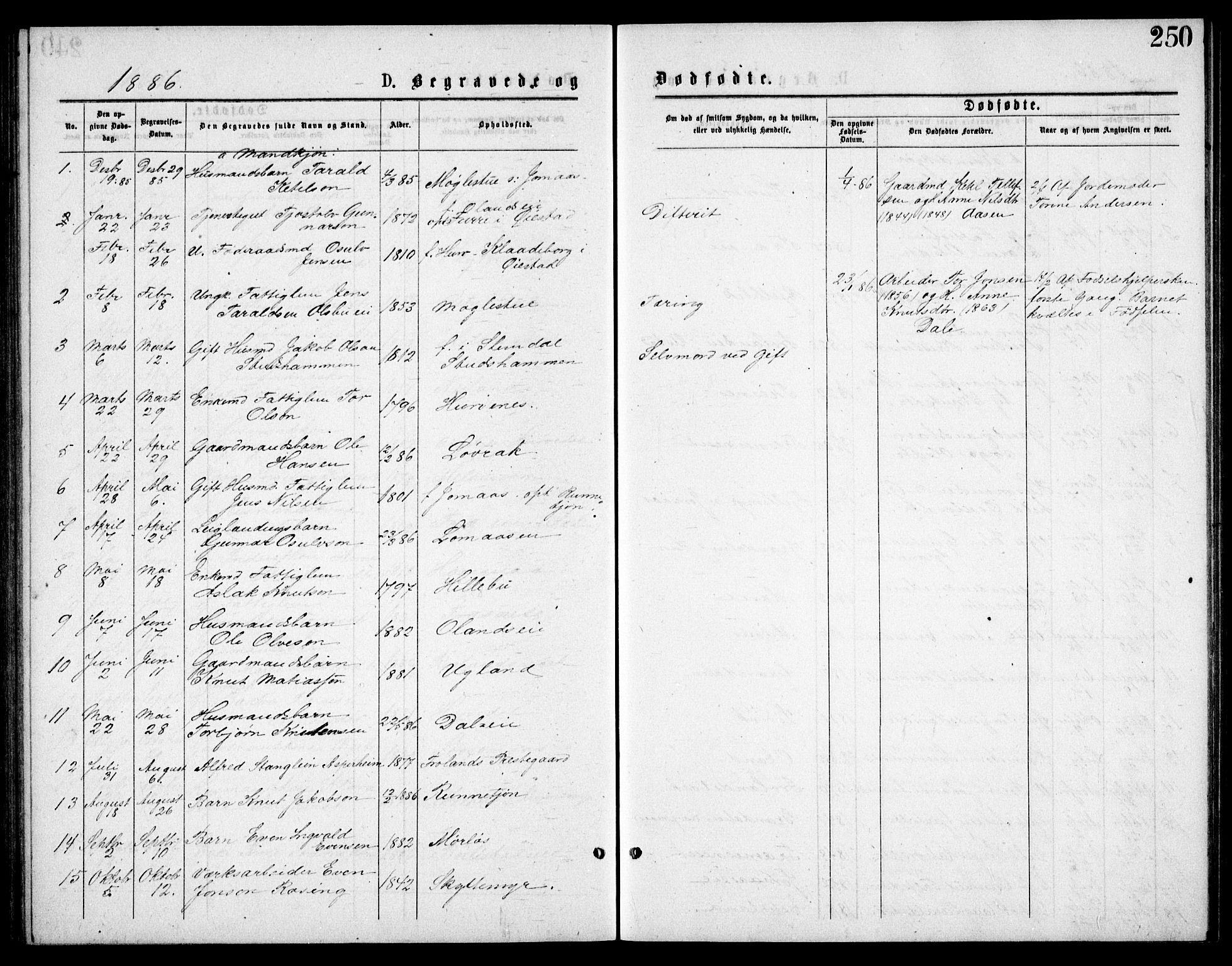 Froland sokneprestkontor, SAK/1111-0013/F/Fb/L0009: Parish register (copy) no. B 9, 1875-1893, p. 250