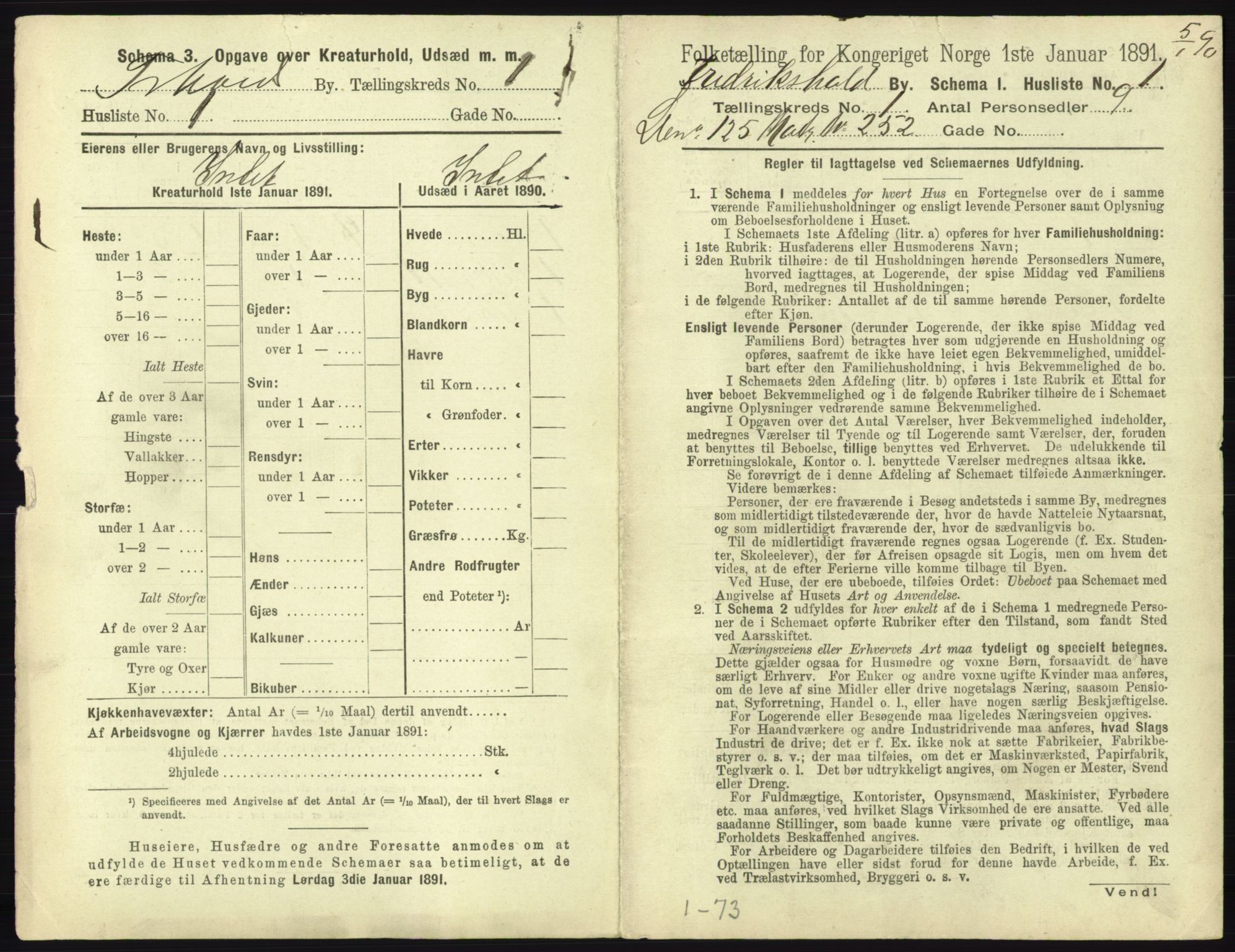 RA, 1891 census for 0101 Fredrikshald, 1891, p. 52