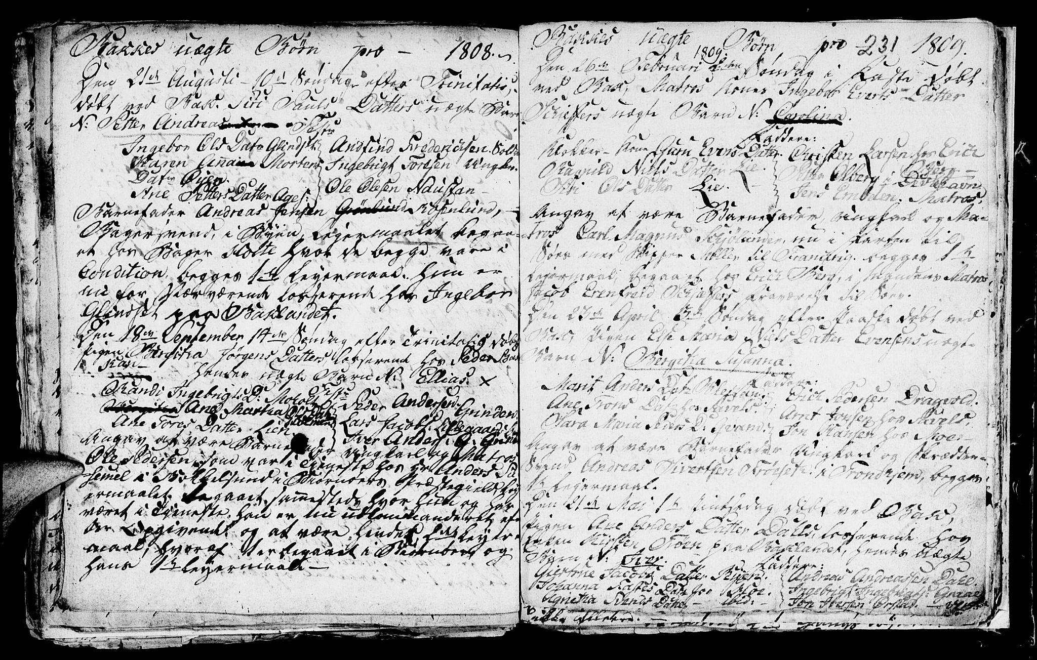 Ministerialprotokoller, klokkerbøker og fødselsregistre - Sør-Trøndelag, SAT/A-1456/604/L0218: Parish register (copy) no. 604C01, 1754-1819, p. 231