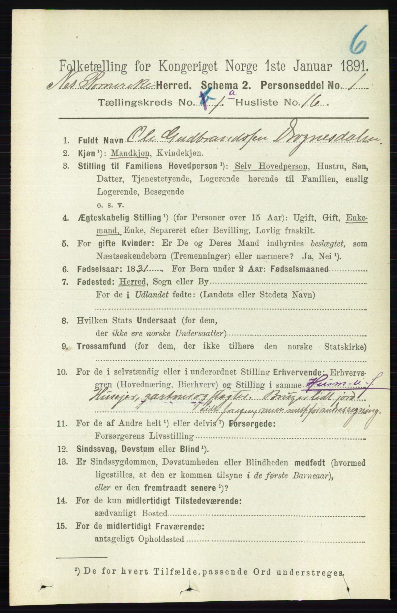 RA, 1891 census for 0236 Nes, 1891, p. 209