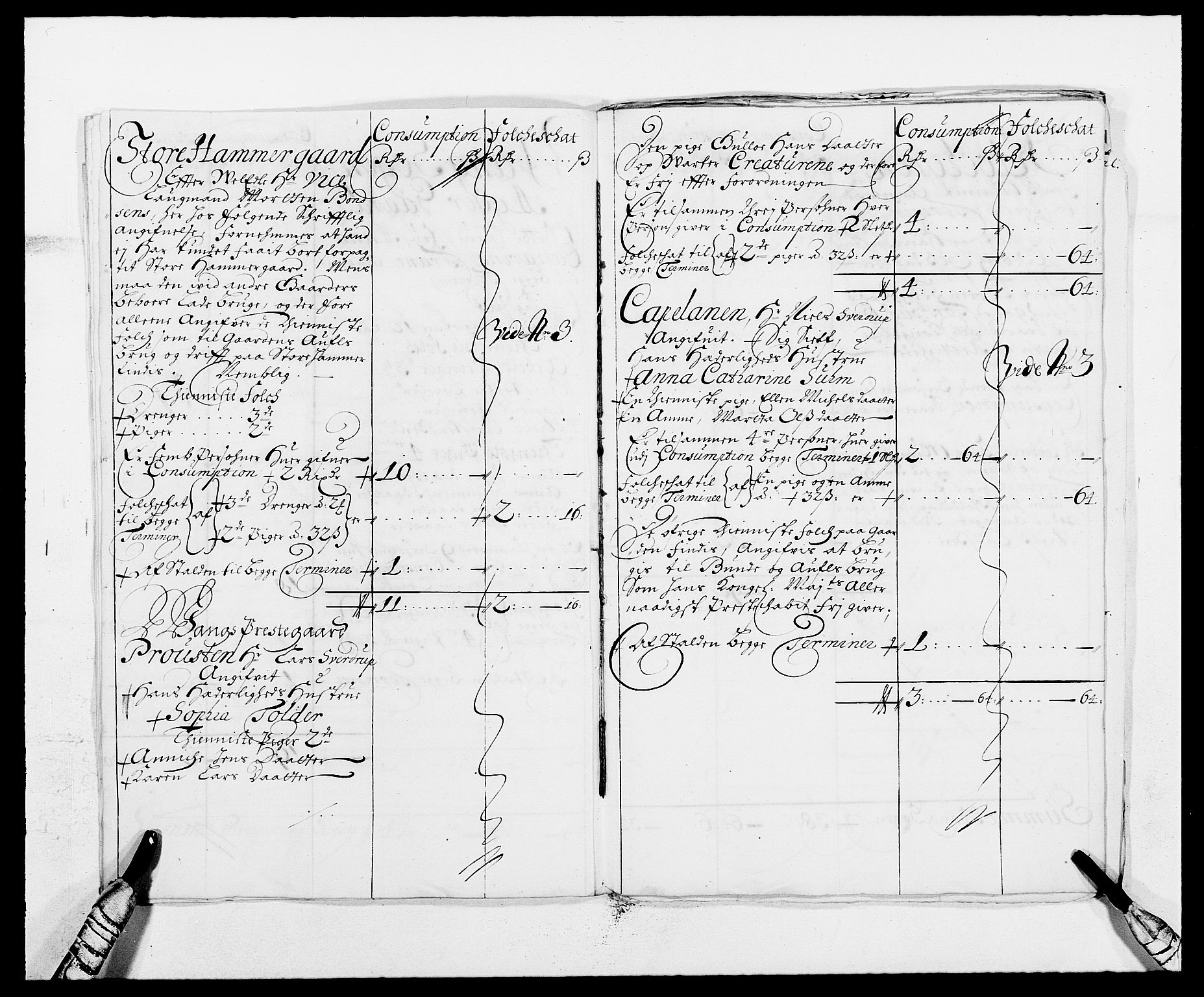 Rentekammeret inntil 1814, Reviderte regnskaper, Fogderegnskap, AV/RA-EA-4092/R16/L1028: Fogderegnskap Hedmark, 1687, p. 116